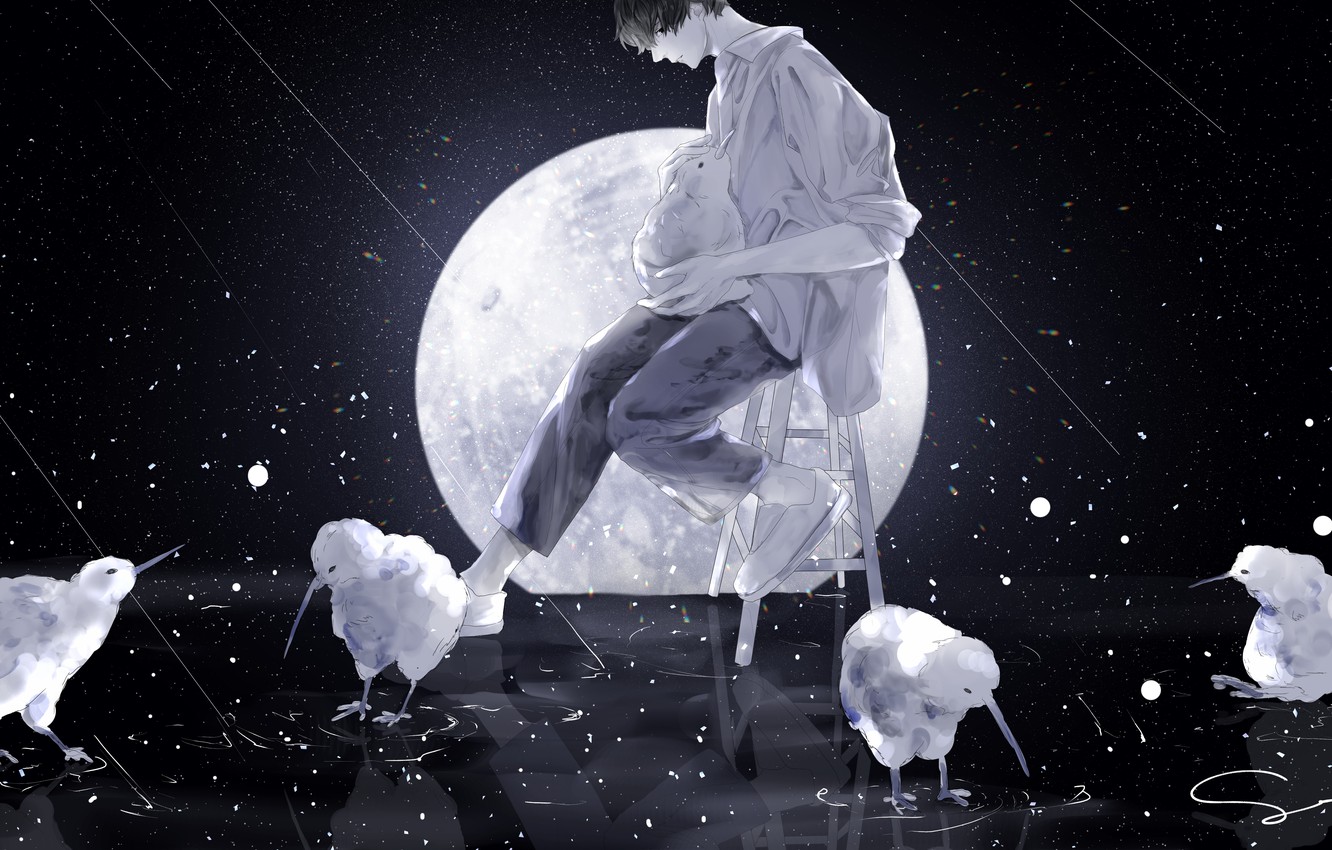Wallpaper space, birds, night, the moon, kiwi, chair, guy, stool, by 世, the kiwi bird image for desktop, section арт