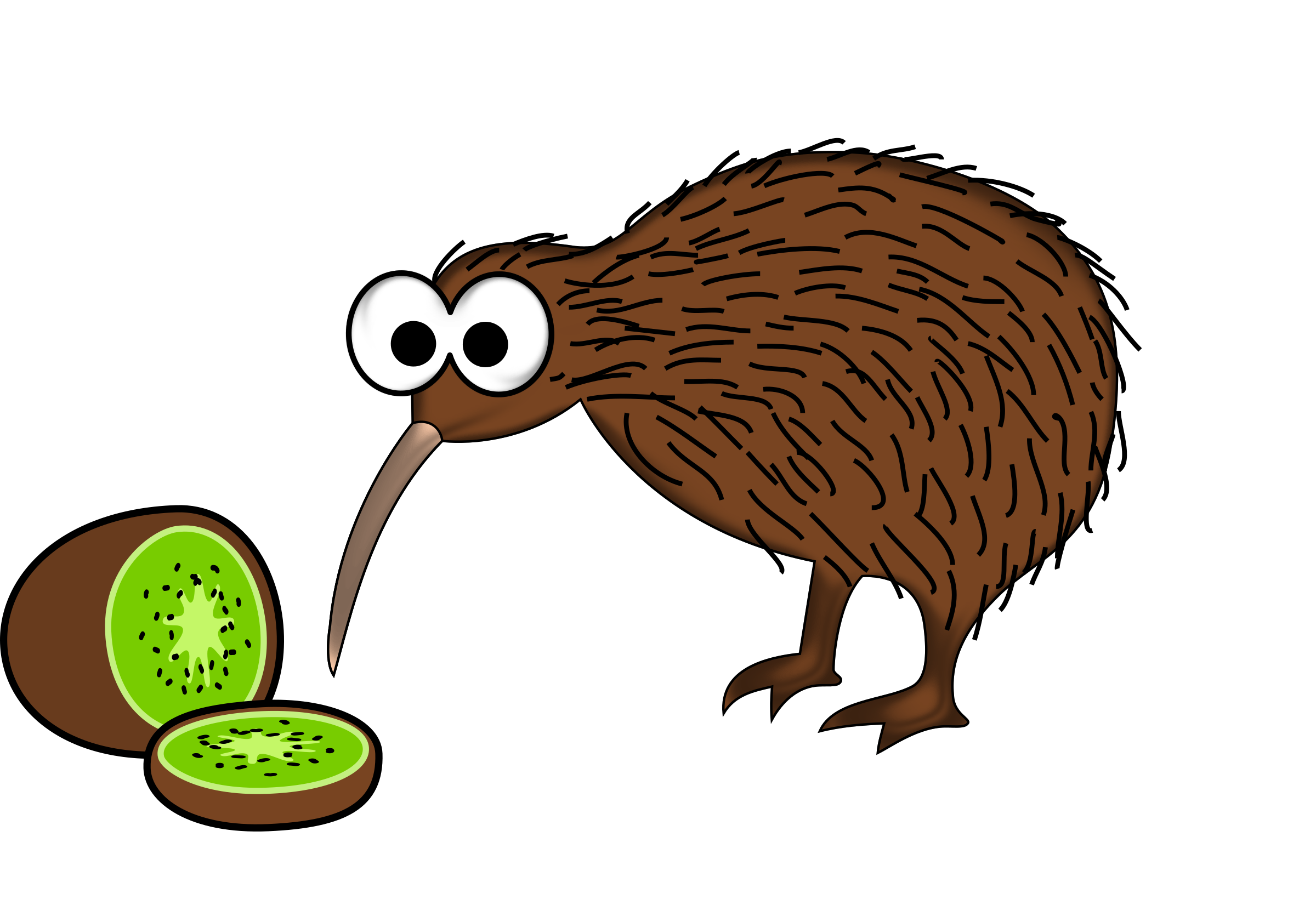 Download Kiwi Bird PNG Free Photo HQ PNG Image