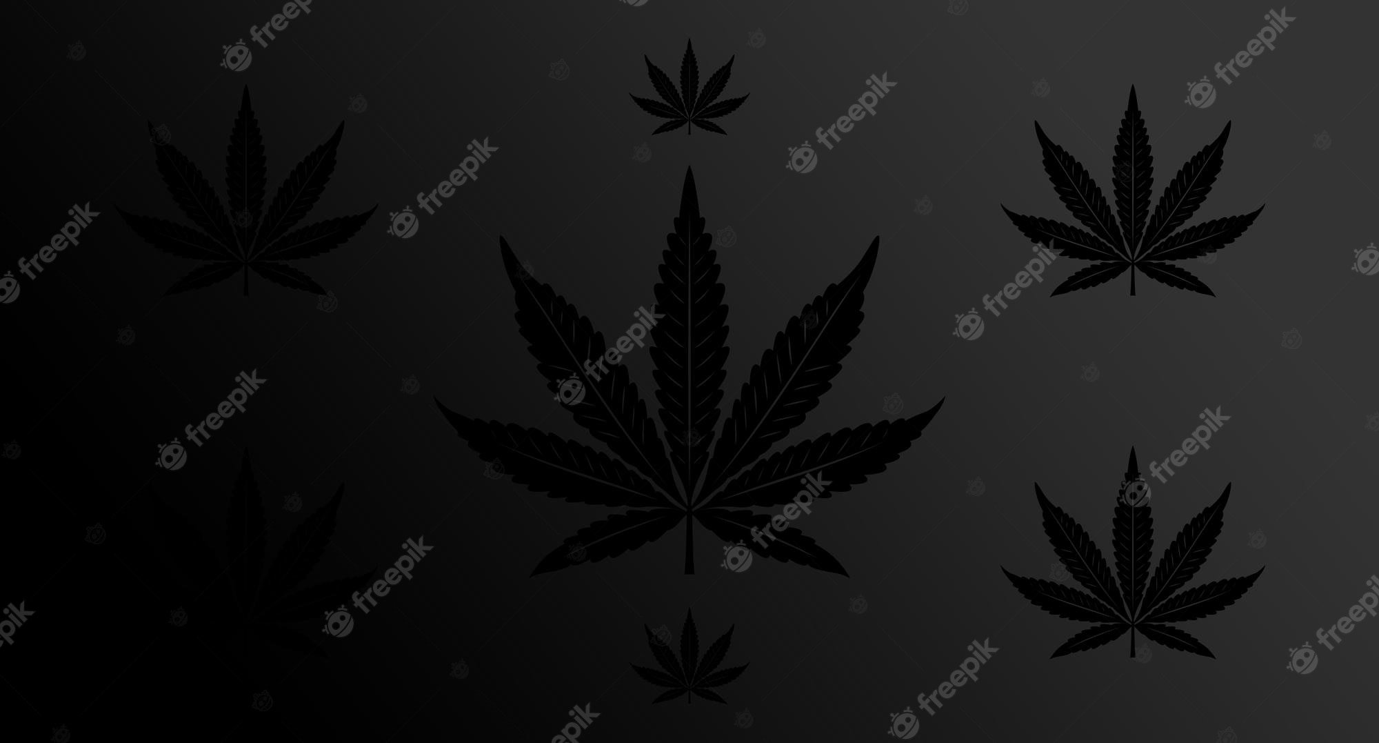 Premium Vector. Simple elegant hemp cannabis marijuana black dark wallpaper