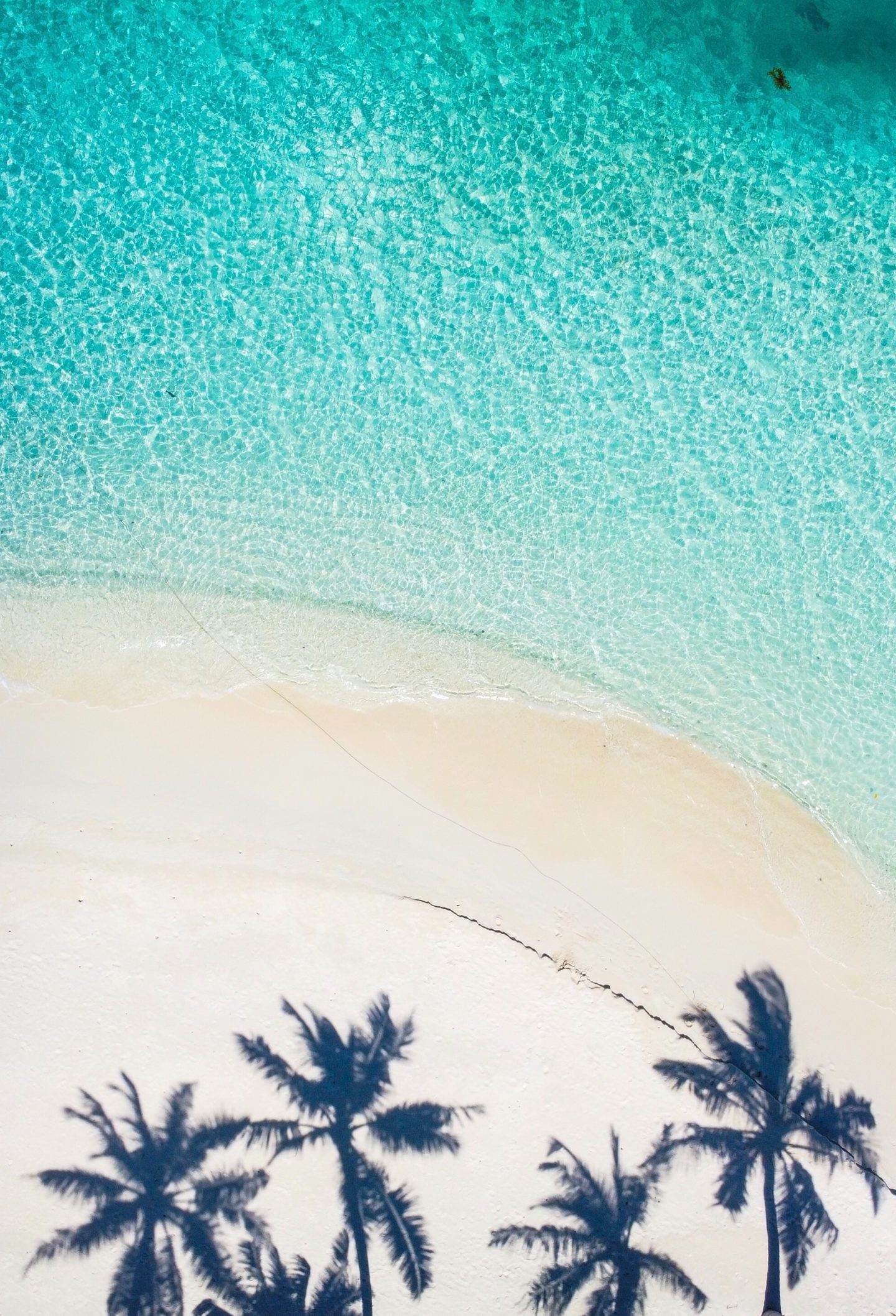 Summer iPhone 14 Pro Max Wallpapers - Wallpaper Cave