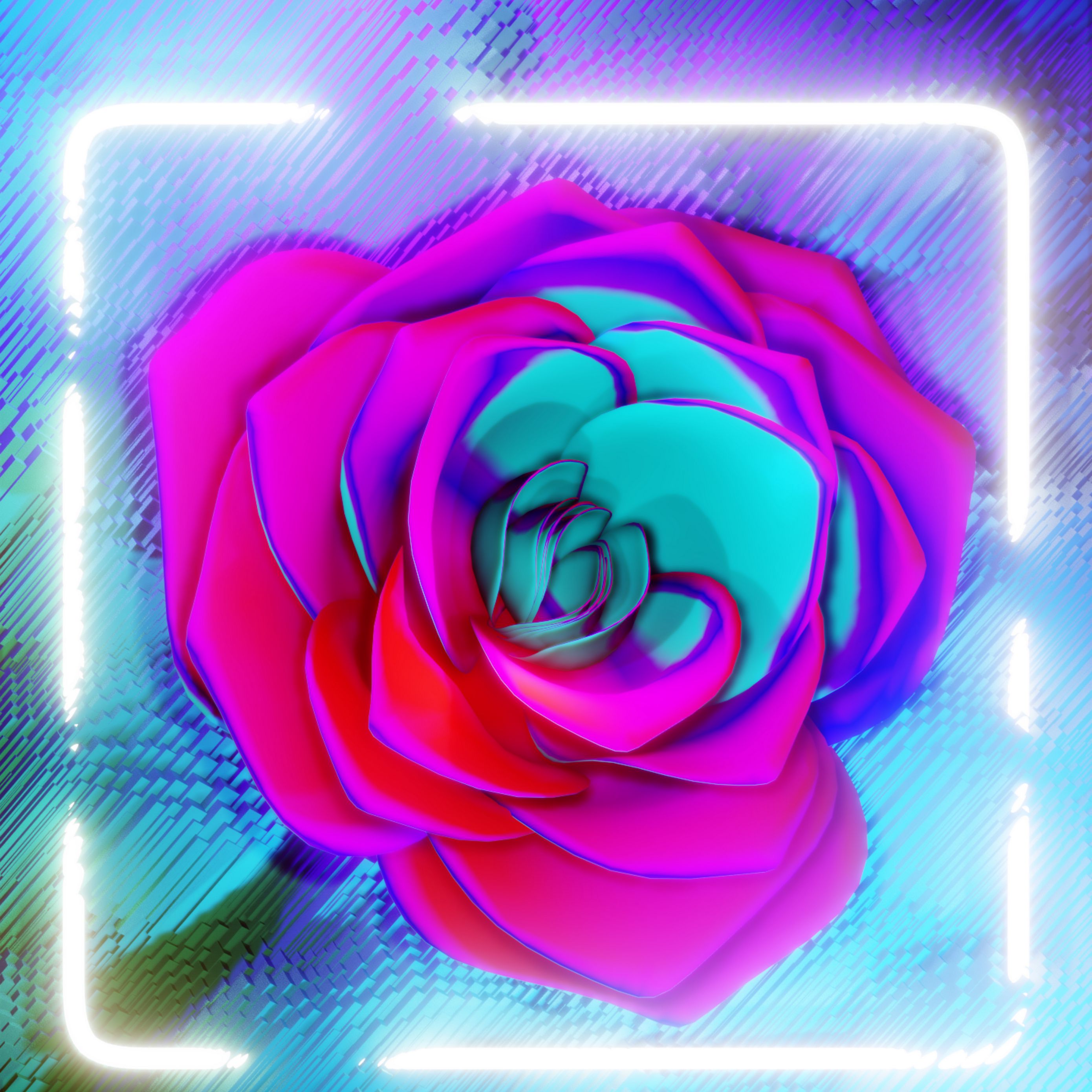 Download wallpaper 2780x2780 flower, neon, frame, glow, bright ipad air, ipad air 2, ipad 3, ipad 4, ipad mini 2, ipad mini 3, ipad mini 4, ipad pro 9.7 for parallax HD background