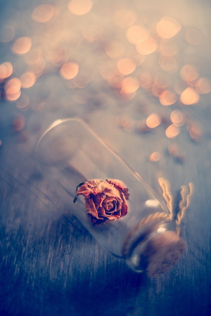 Beautiful Things Wallpapers Wallpaper Cave