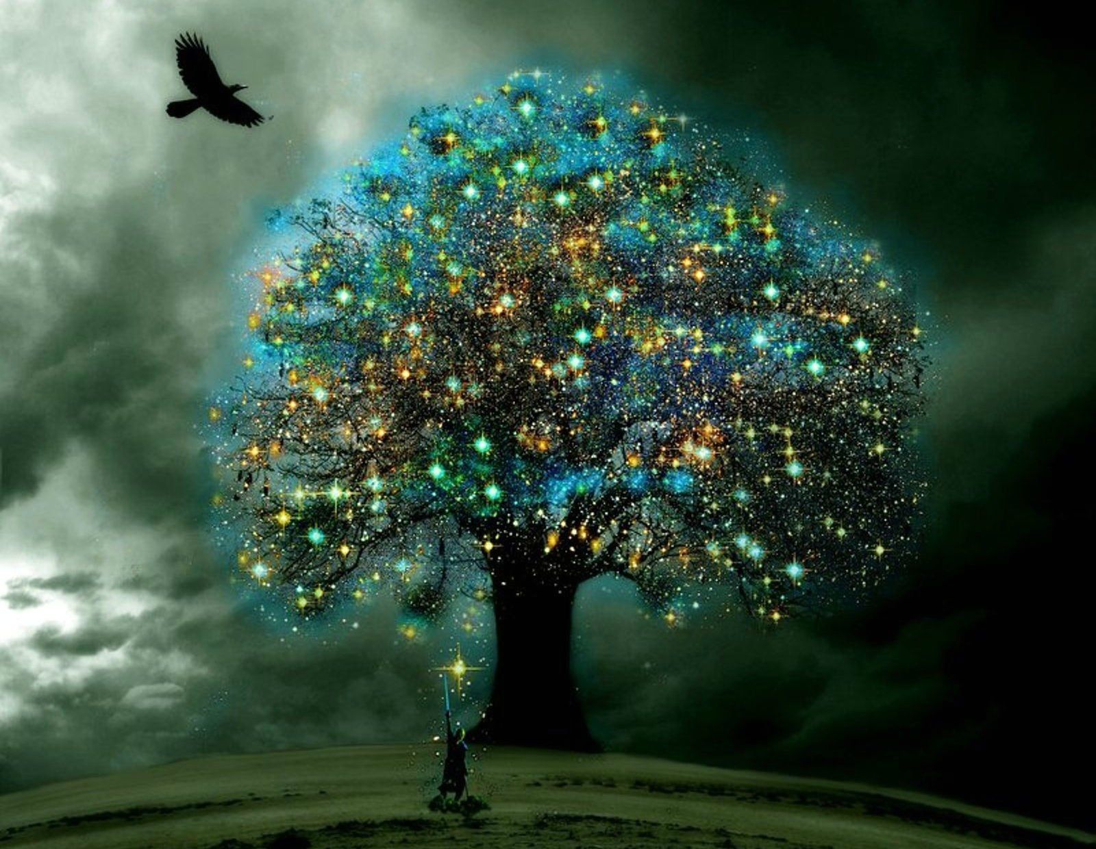 Fantasy Magic Magical Tree Wallpaper. Magical tree, Tree art, Photo tree