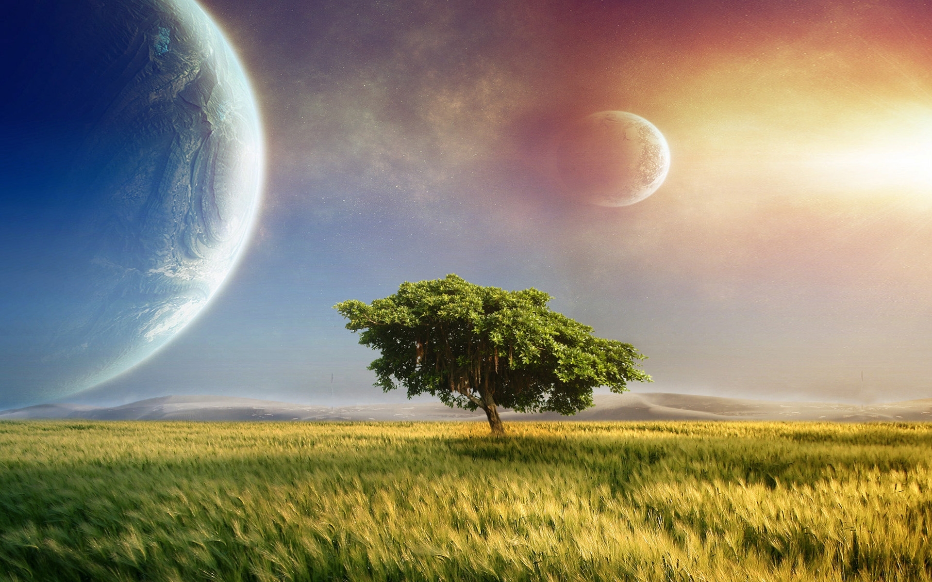 Field Tree & Magical Planets wallpaper. Field Tree & Magical Planets