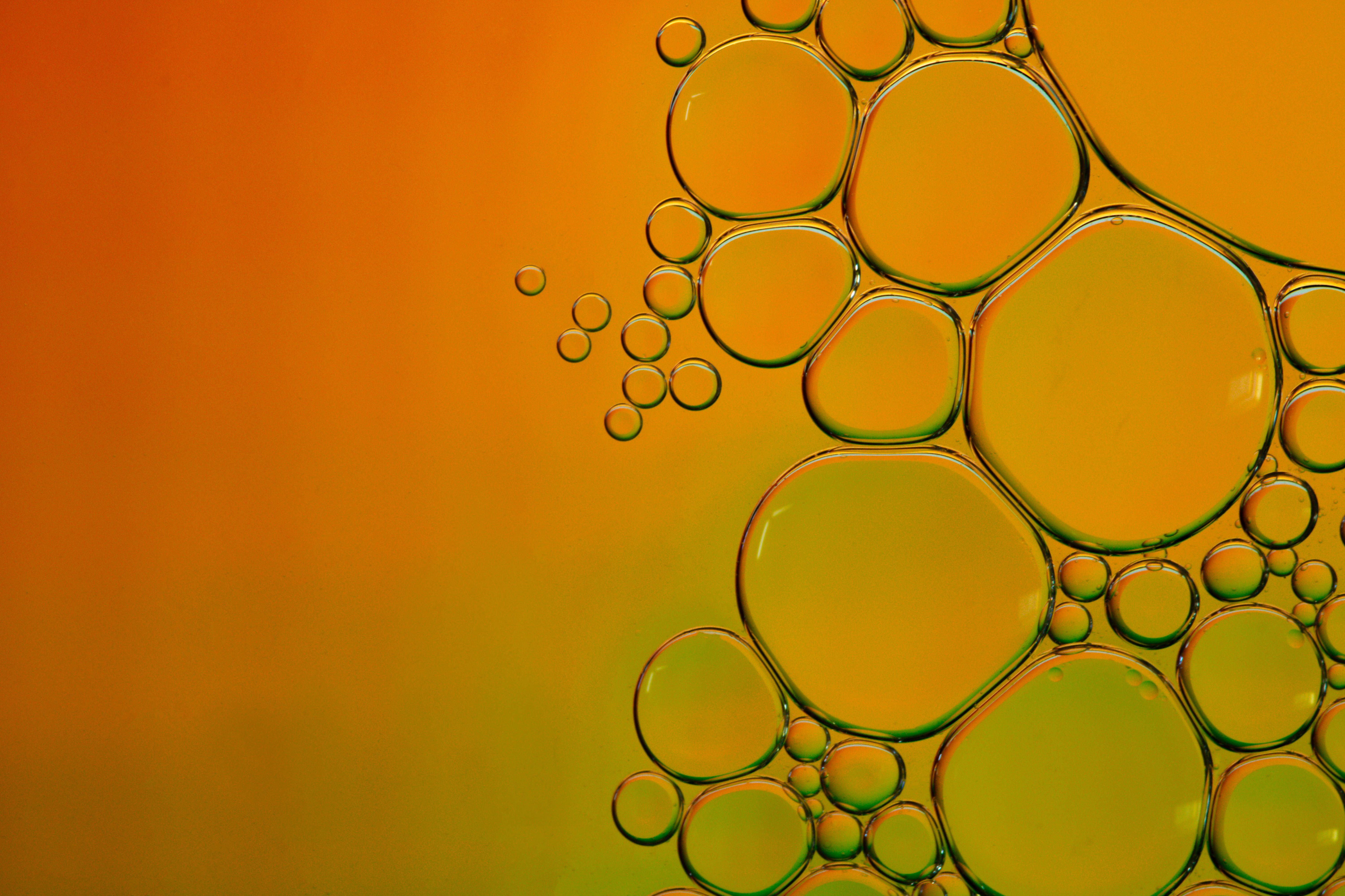 Download Yellow Water Dew Abstract Art Wallpaper