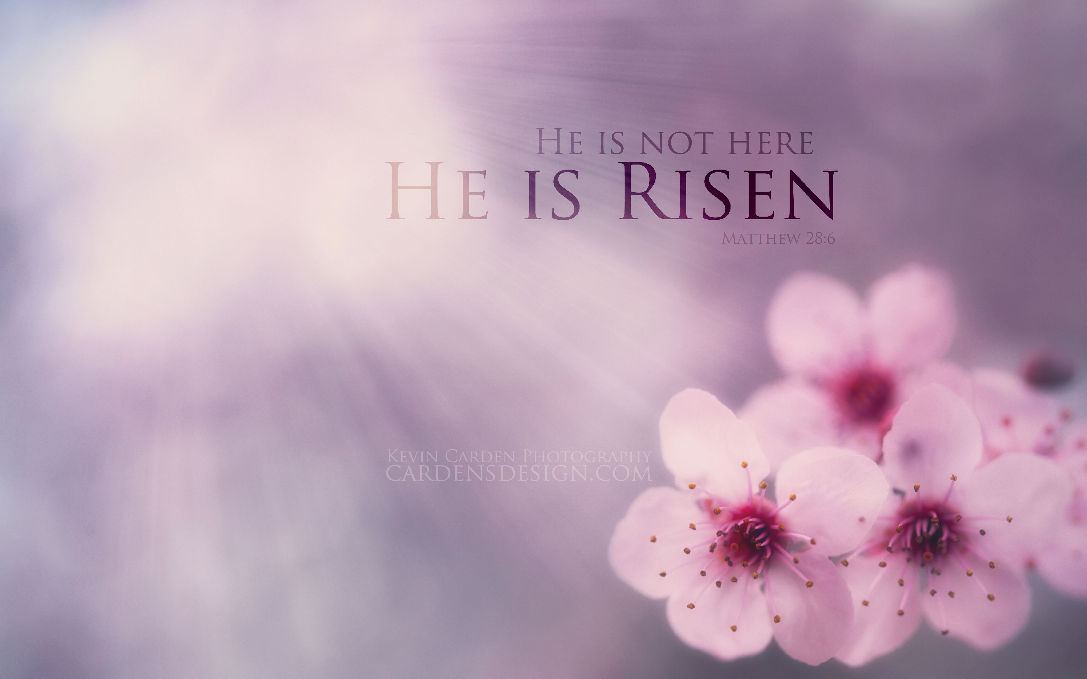 Free download He is risen beautiful wallpaper With Resolutions 36502282 Pixel [3650x2282] for your Desktop, Mobile & Tablet. Explore Christian Easter Picture Wallpaper. Free Christian Easter Wallpaper, Easter Picture