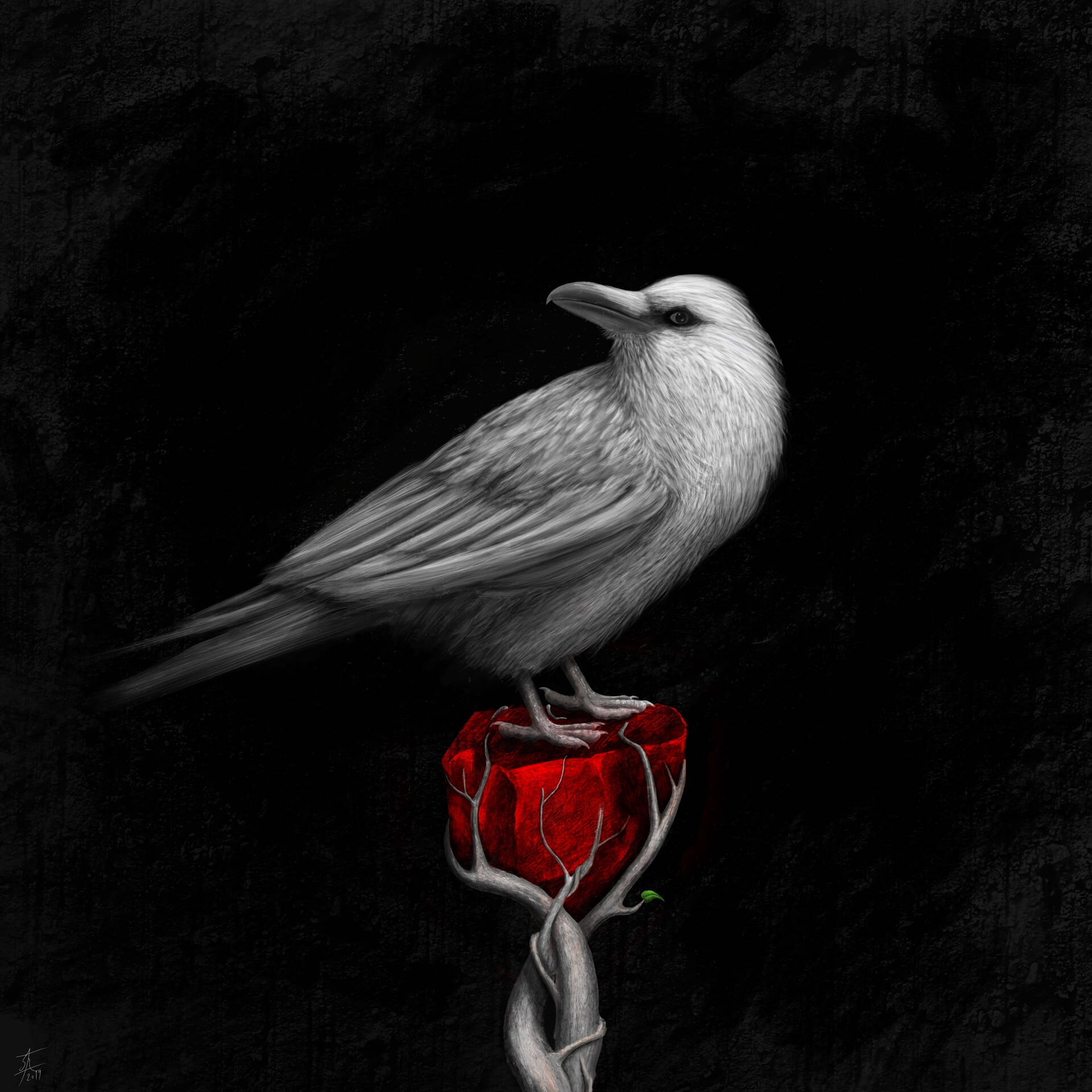 Download Raven Wallpaper