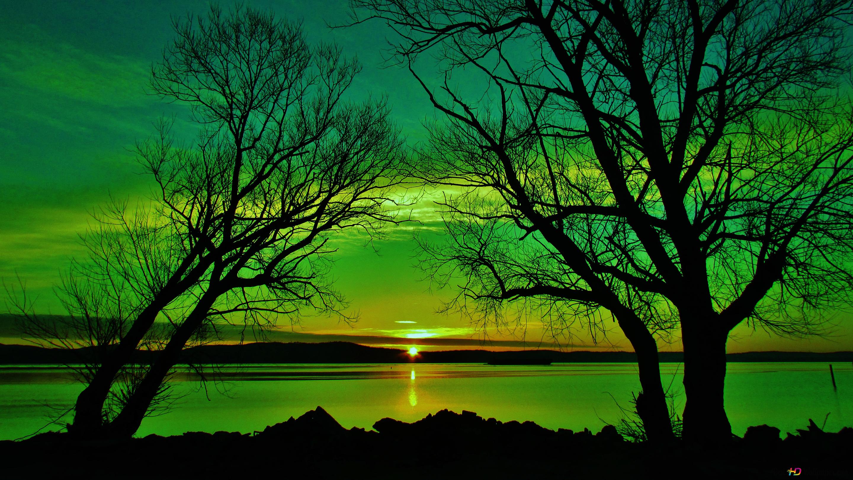 Green Sunset on Lake 4K wallpaper download