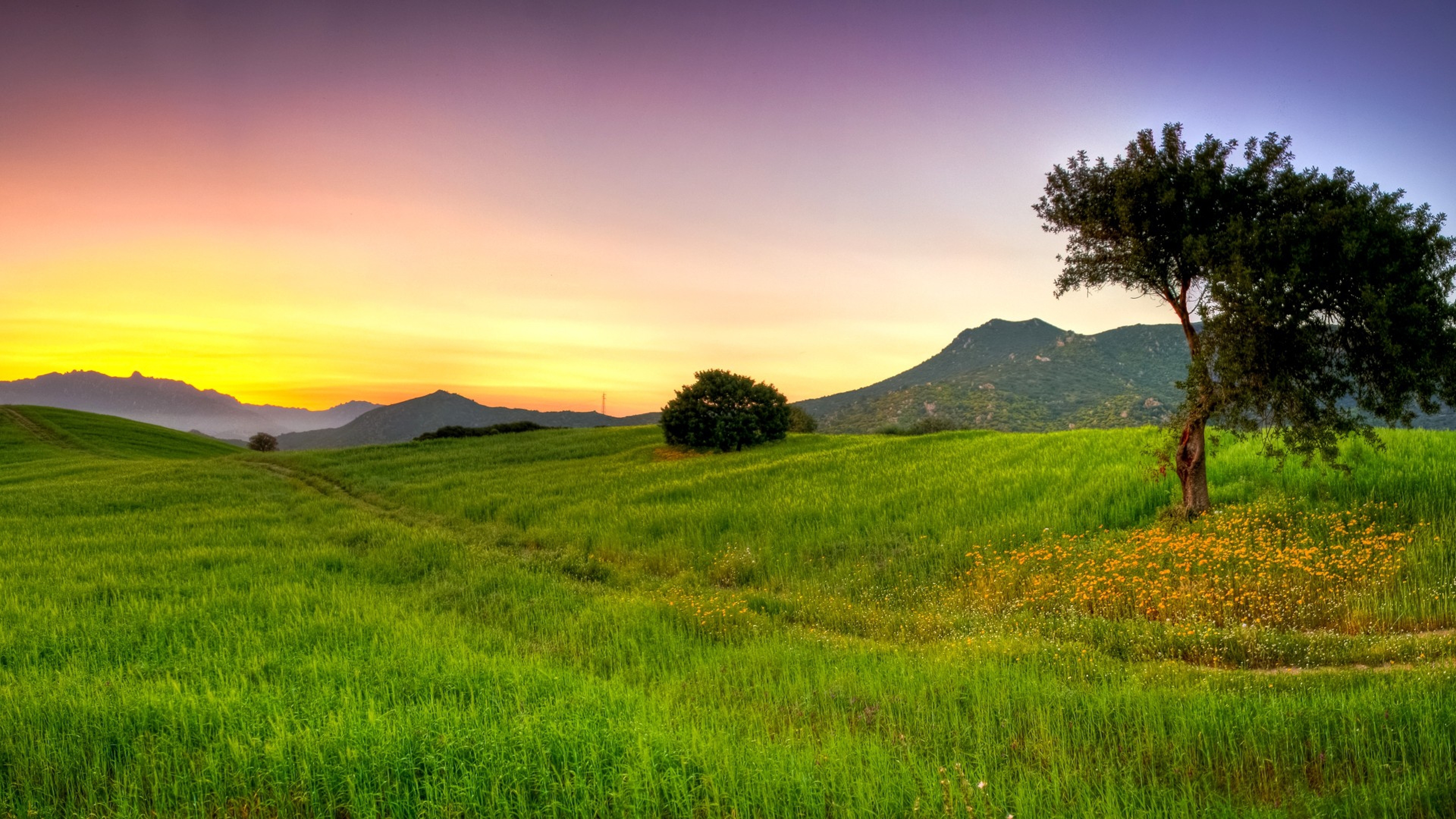 Wallpaper Green Grass Field and Mountain During Sunset, Background Free Image