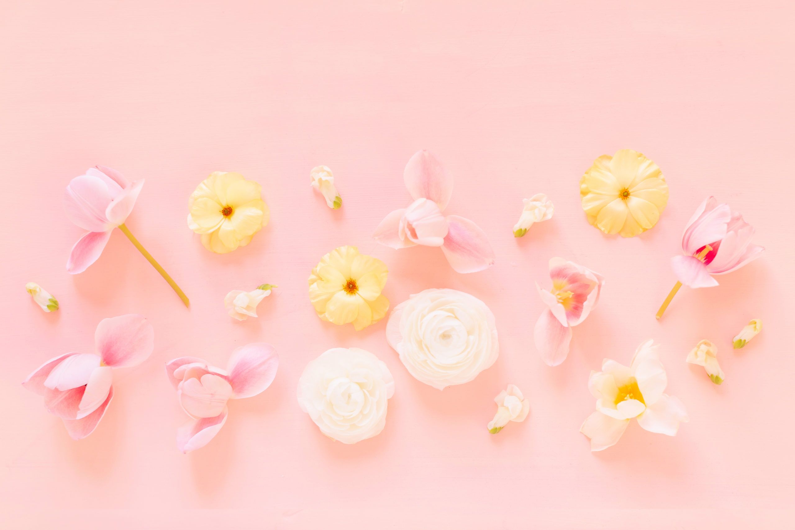 Pink Wallpaper Aesthetic HD Wallpaper