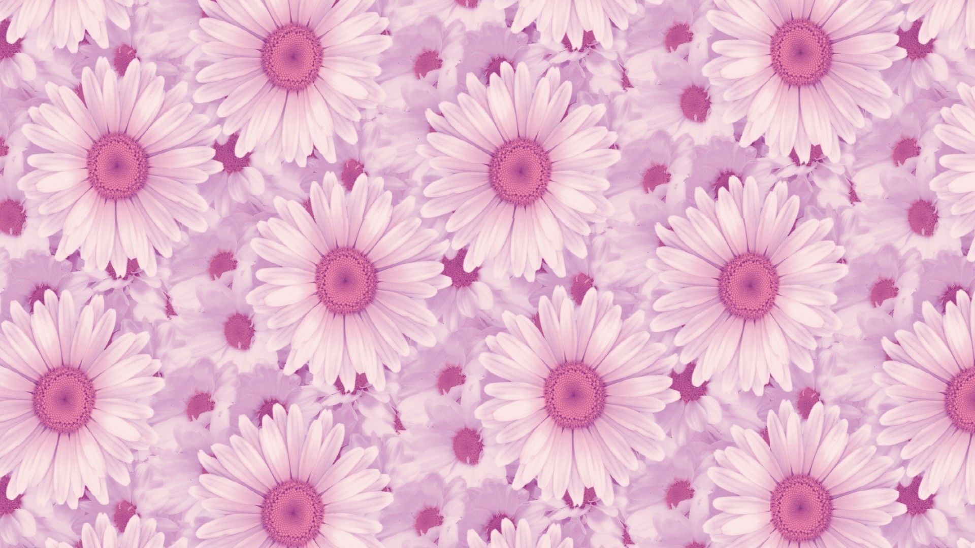 Pastel Pink Aesthetic Wallpaper HD