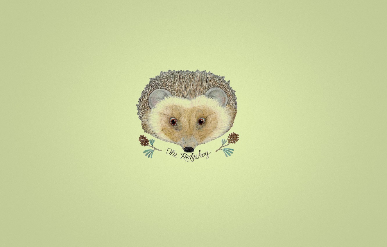 Wallpaper the inscription, minimalism, branch, hedgehog, bumps, yellow background, hedgehog image for desktop, section минимализм