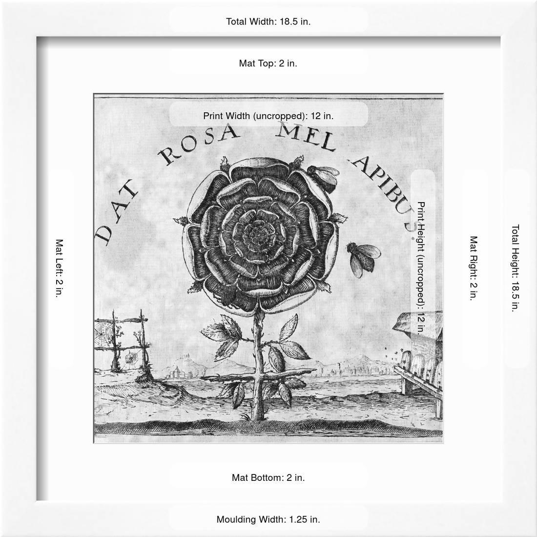 Rosicrucian Mystical Symbol, Botanical Framed Art Print Wall Art by Middle Temple Library Sold