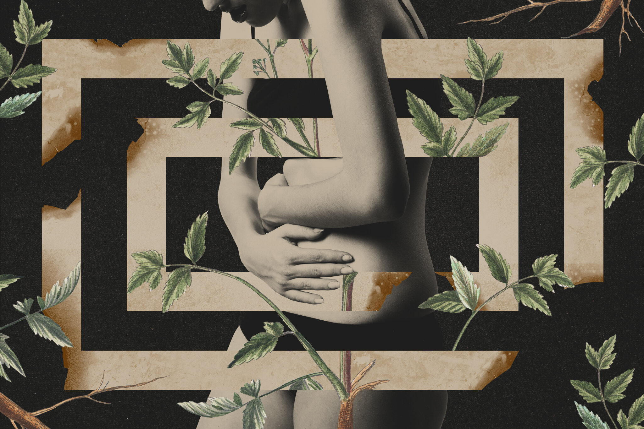 Experts Warn Against 'Herbal Abortion' Remedies on TikTok