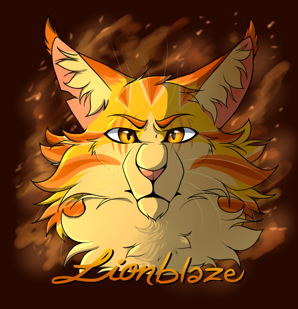 Lionblaze Wallpapers Wallpaper Cave