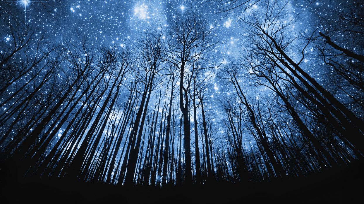 Nature space sky trees forest hill mountaun silhouette stars manipulation cg digital art bright starlight wallpaperx1080