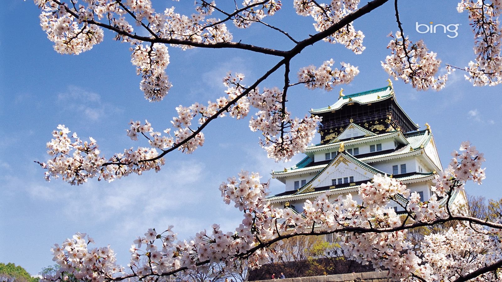Download wallpaper 1600x900 spring, cherry, blossom, palace, japan, architecture widescreen 16:9 HD background