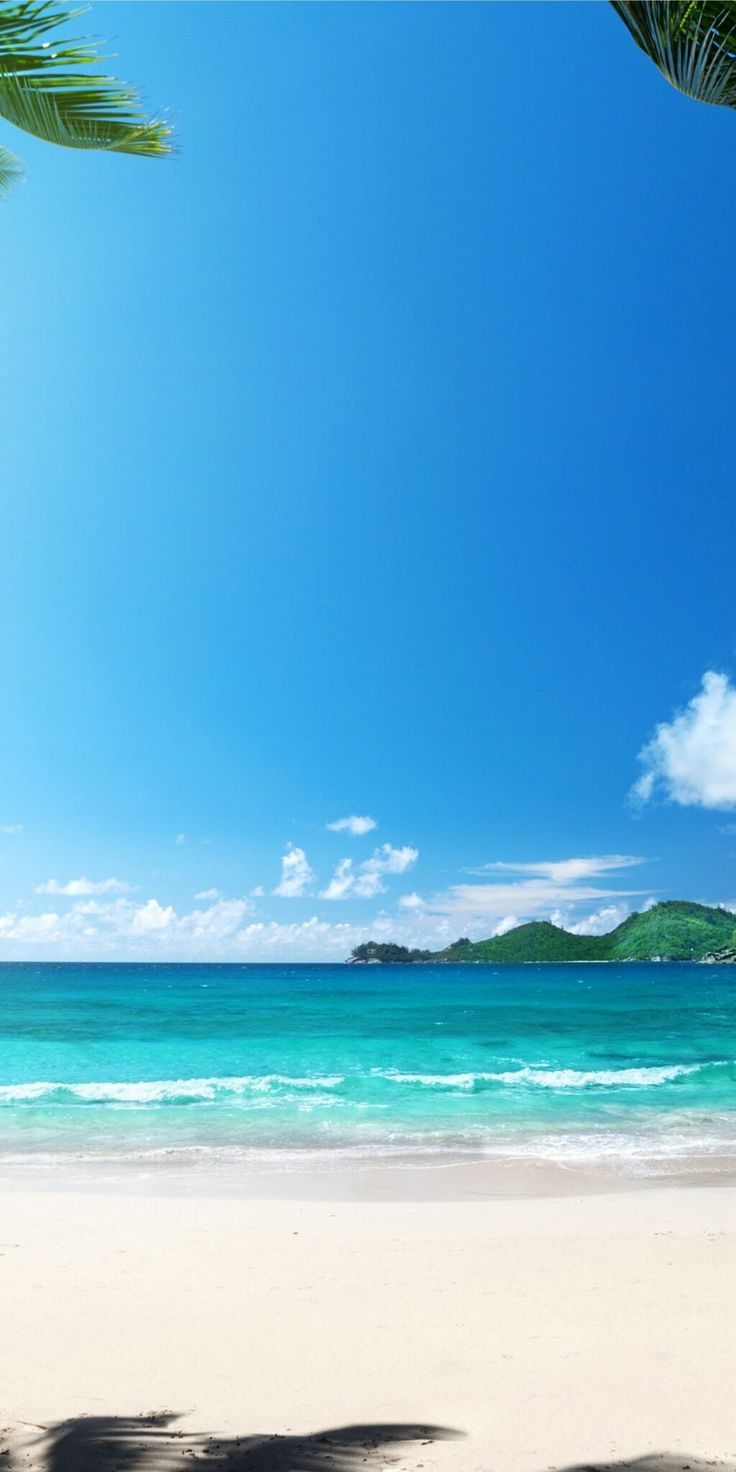 iPhone Pro Summer Wallpapers - Wallpaper Cave