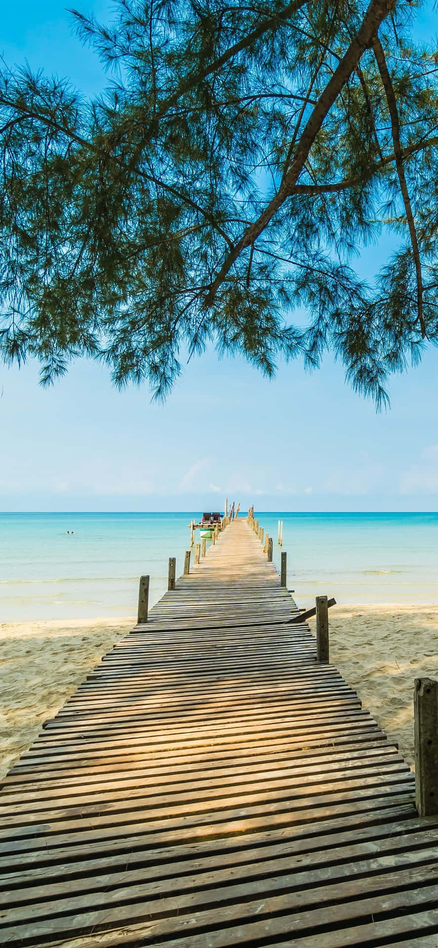 Download Enjoy your summertime with the tropical themed iPhone! Wallpaper