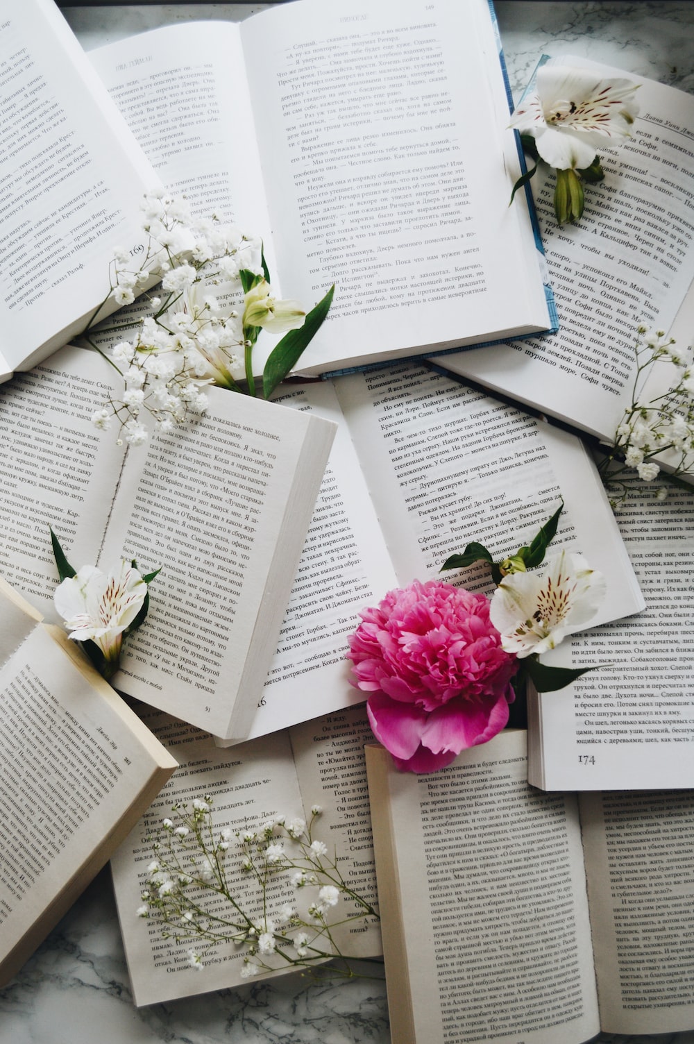 Flower And Book Picture. Download Free Image