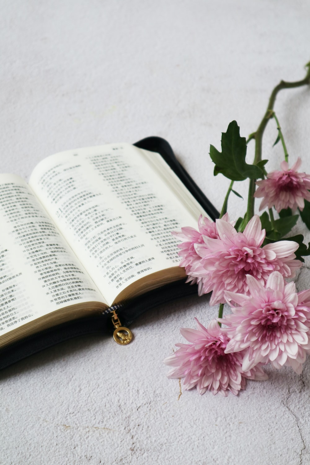 Flower And Book Picture. Download Free Image