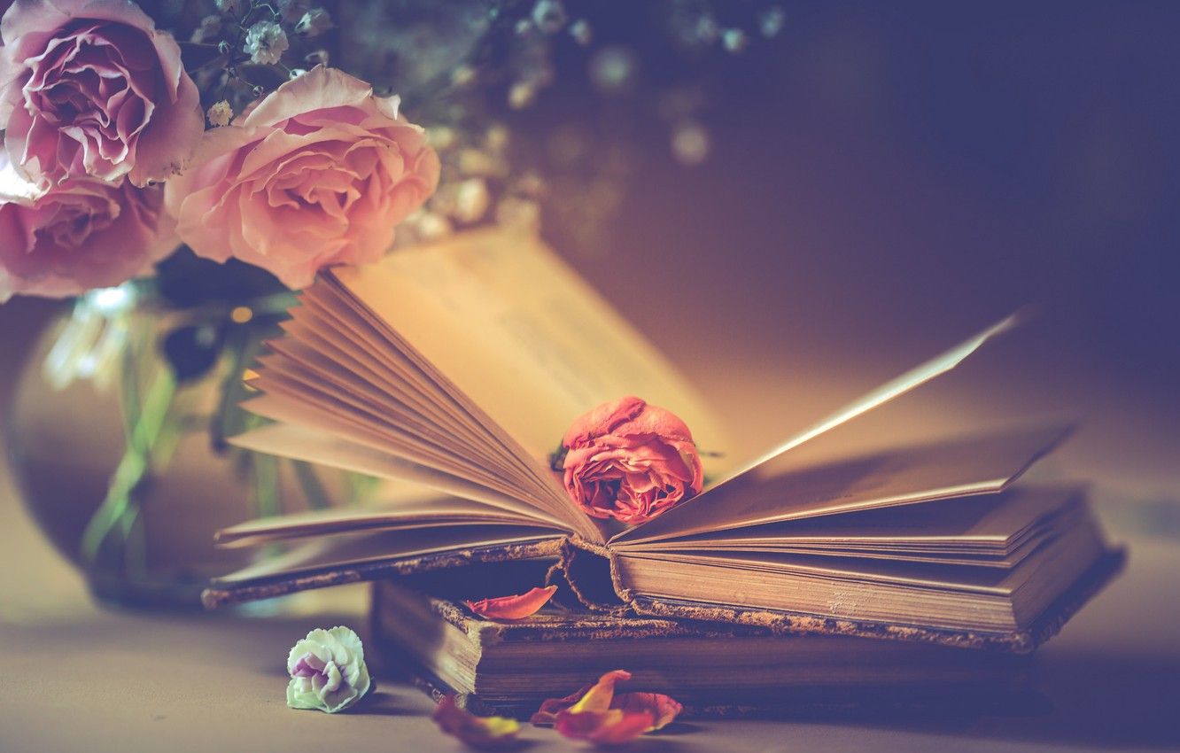 Books and Flowers Wallpaper