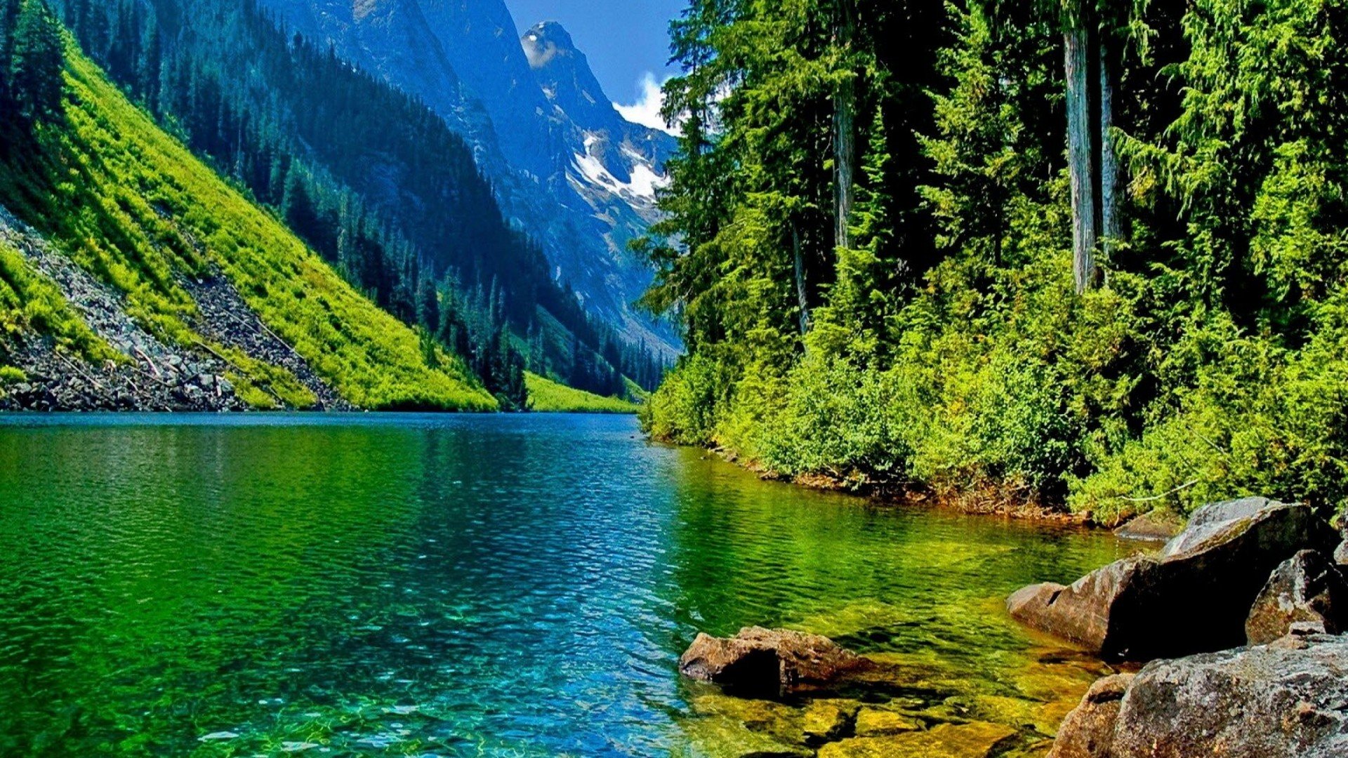 Wonderful mountain lake in the middle of the forest