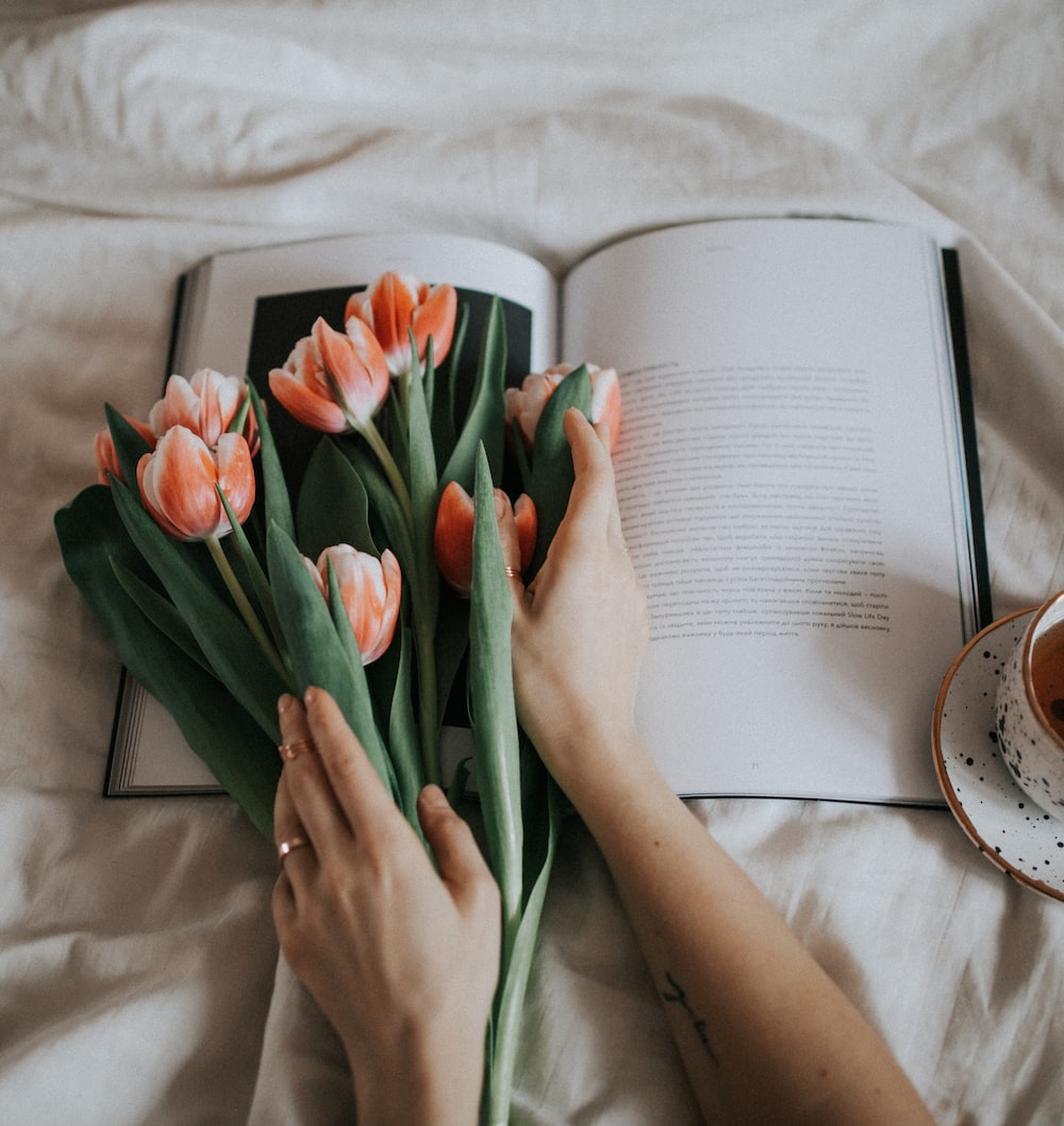 Flower And Book Picture. Download Free Image