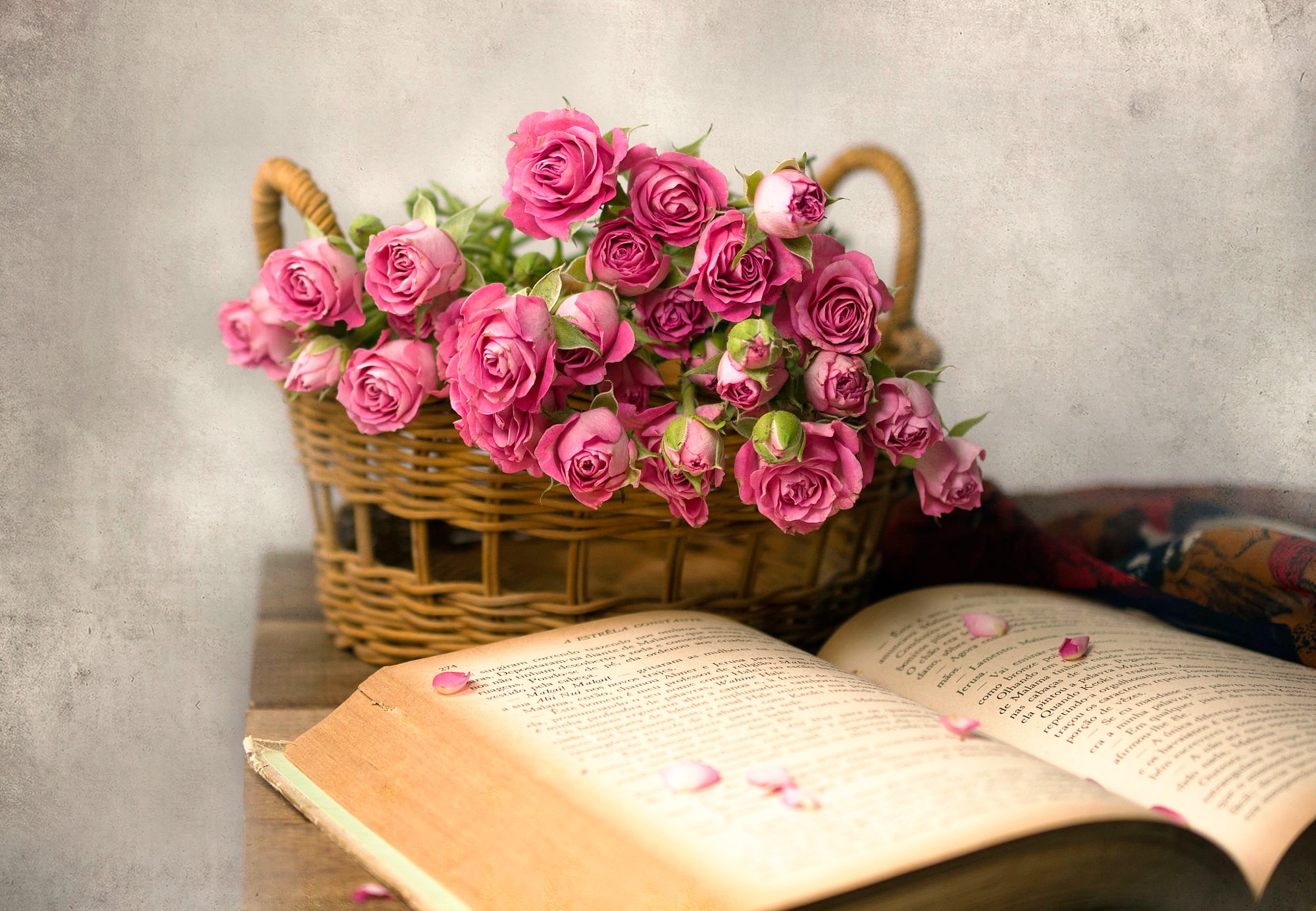 rose, Flowers, Books, Baskets, Pink flowers Wallpaper HD / Desktop and Mobile Background
