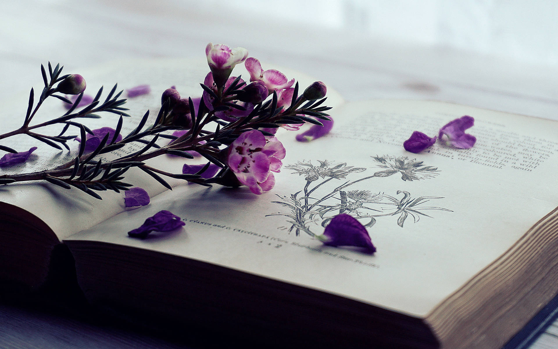 Download Flowers And Open Book Full 4k Wallpaper
