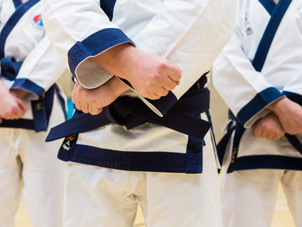 Zi Shiying Tang Soo Do