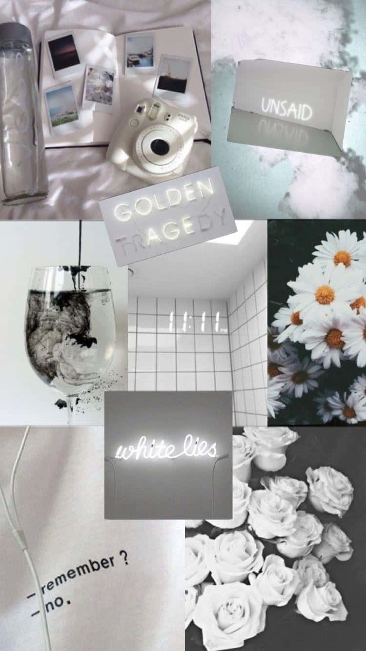 Download A Collage Of Photo With White Flowers And A White Sign Wallpaper
