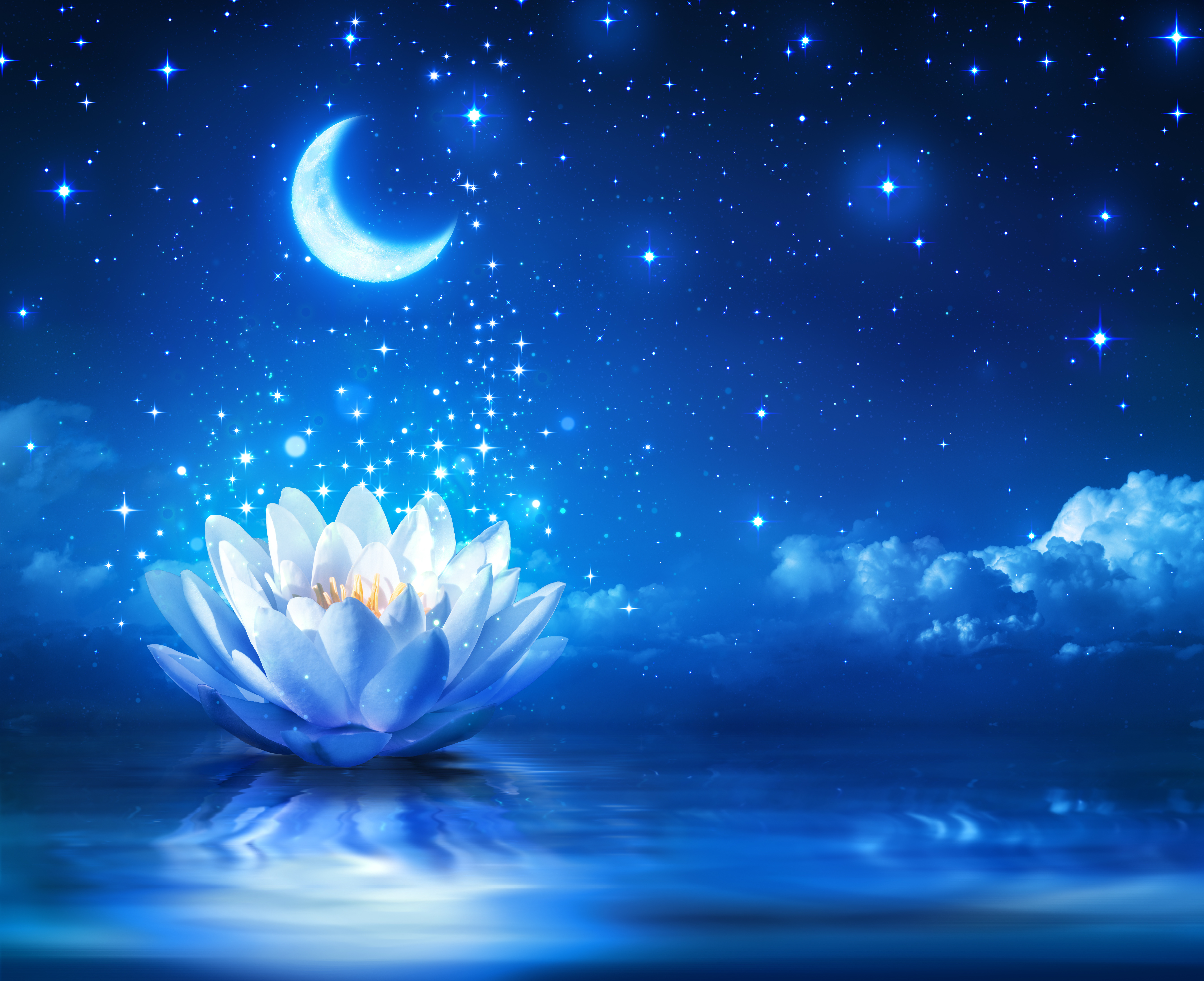 HD desktop wallpaper: Flowers, Stars, Night, Moon, Reflection, Flower, Artistic, Water Lily, White Flower, Sparkles download free picture