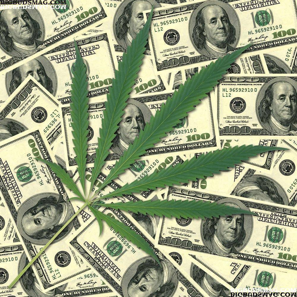 Free download Cool Money And Weed Background Money And Weed Background [1000x1000] for your Desktop, Mobile & Tablet. Explore Cool Money Background. Get Money Wallpaper, Stacks Of Money Background