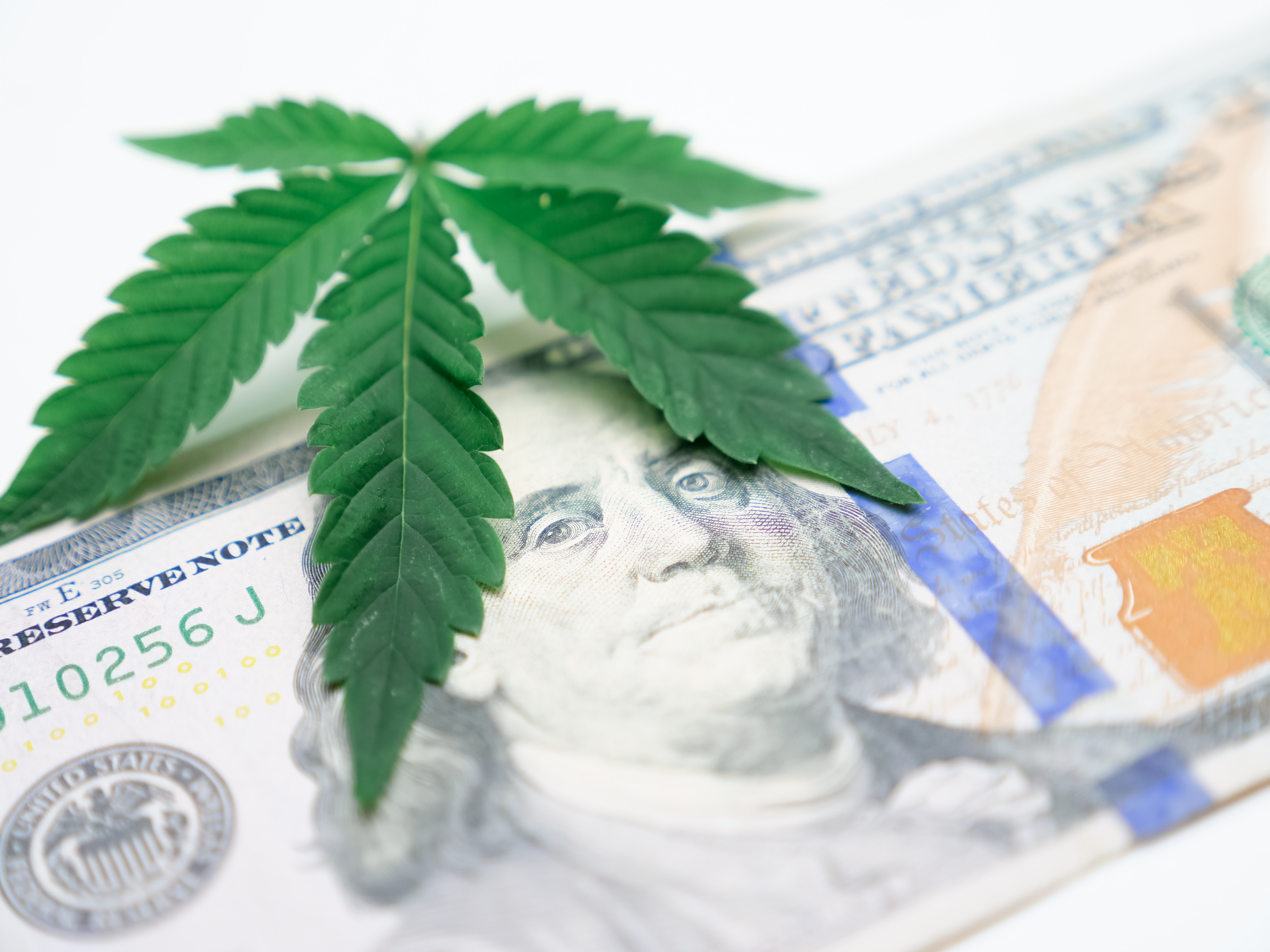 Close Up Photo Of Cannabis Leaves On Dollar Bill · Free