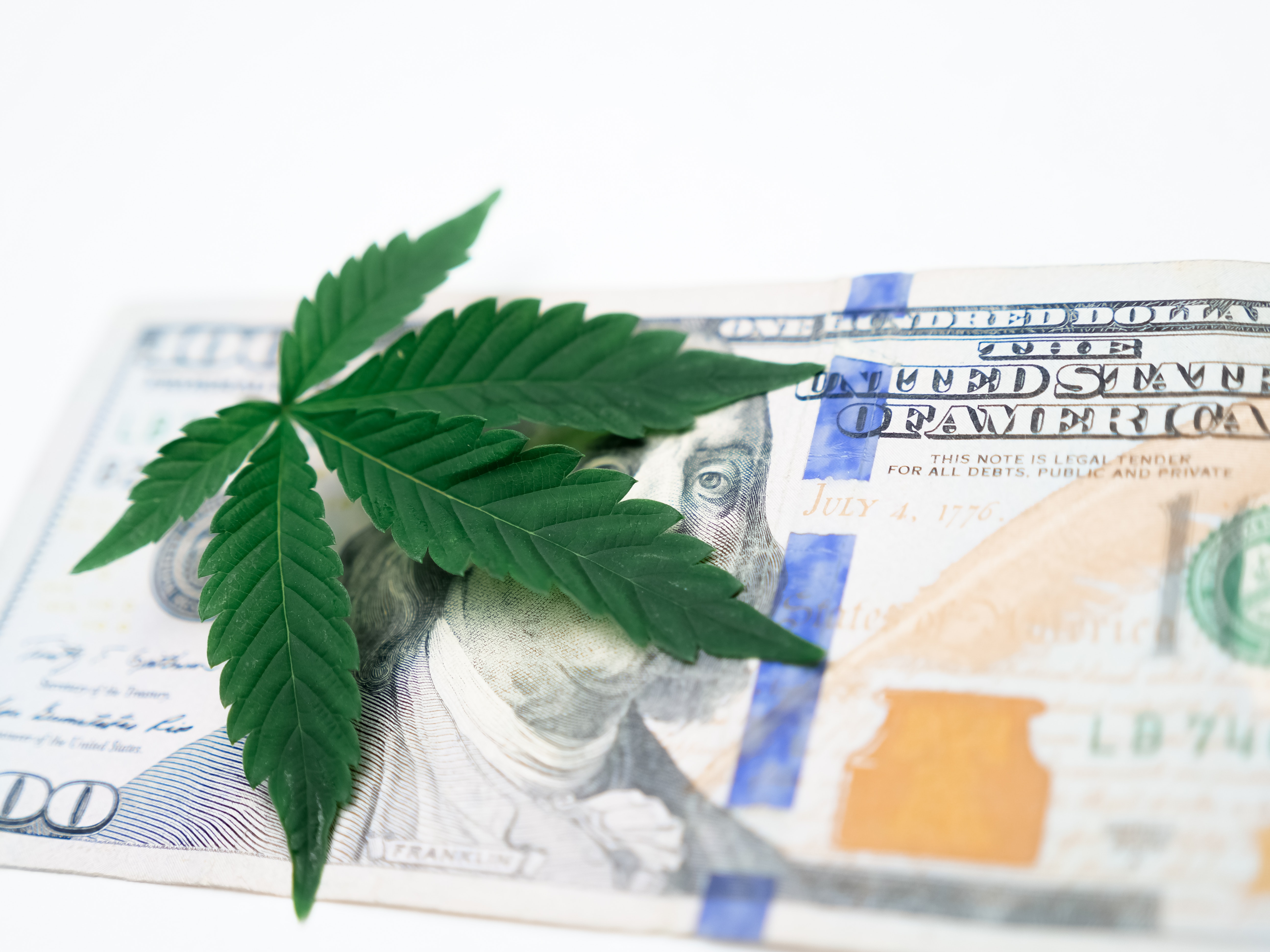 Close Up Photo Of Cannabis On Top Of Dollar Bill · Free