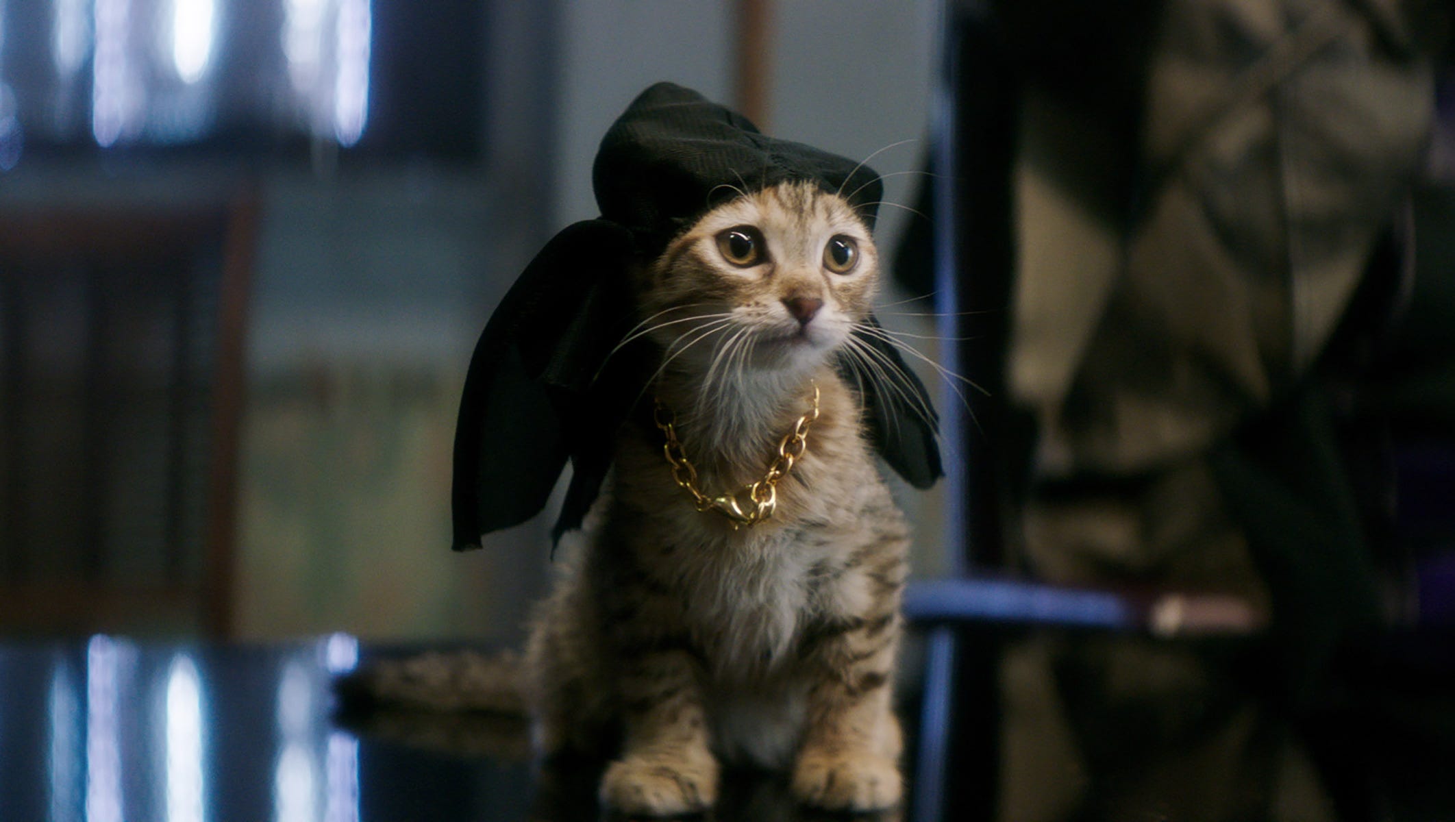 Kitties litter the set of Key and Peele's 'Keanu'