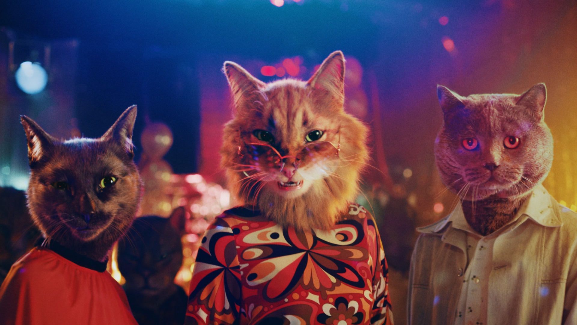 Go behind the Moving Image with MPC and Arm & Hammer's Funky Felines