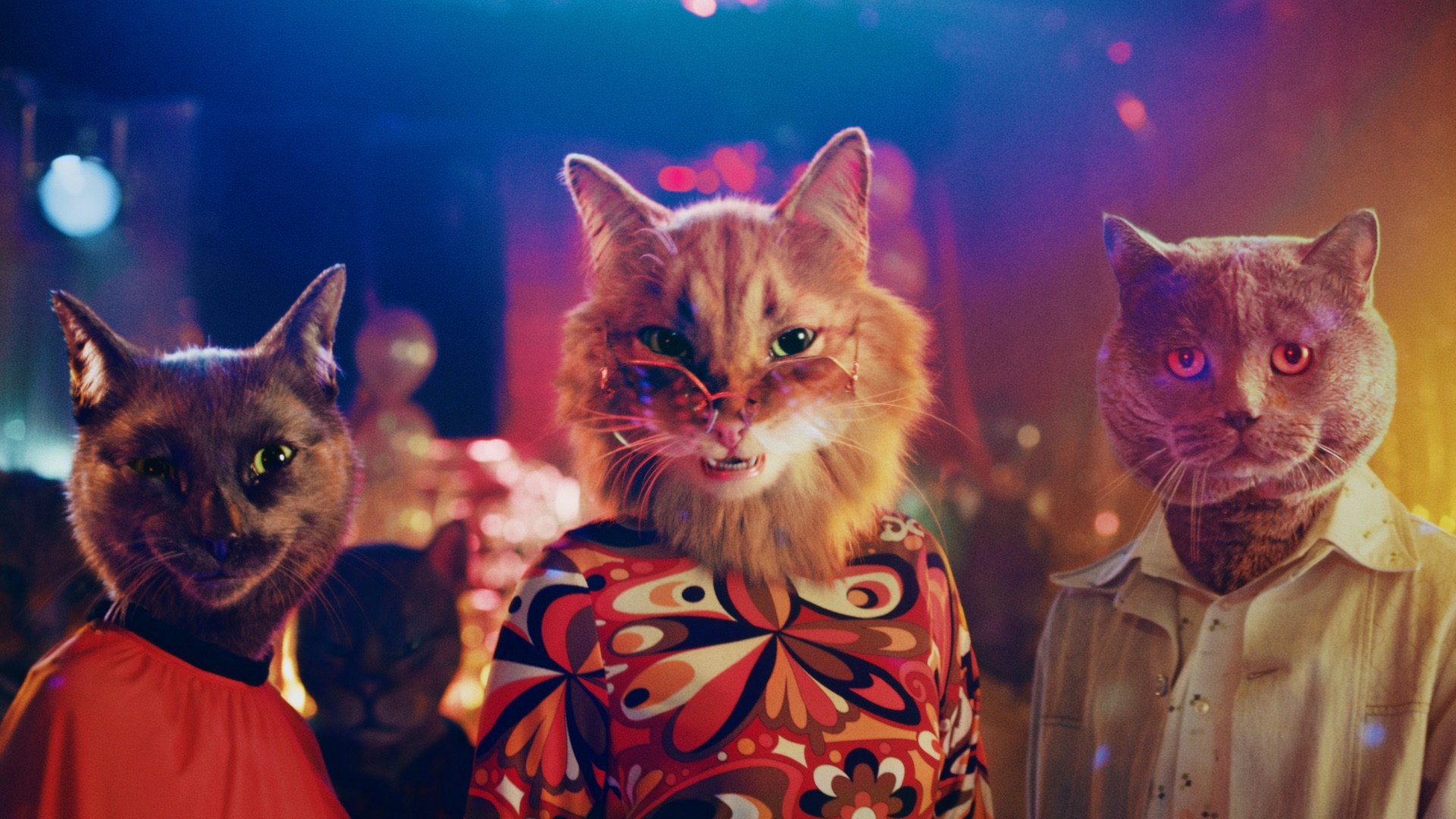 Go behind the Moving Image with MPC and Arm & Hammer's Funky Felines