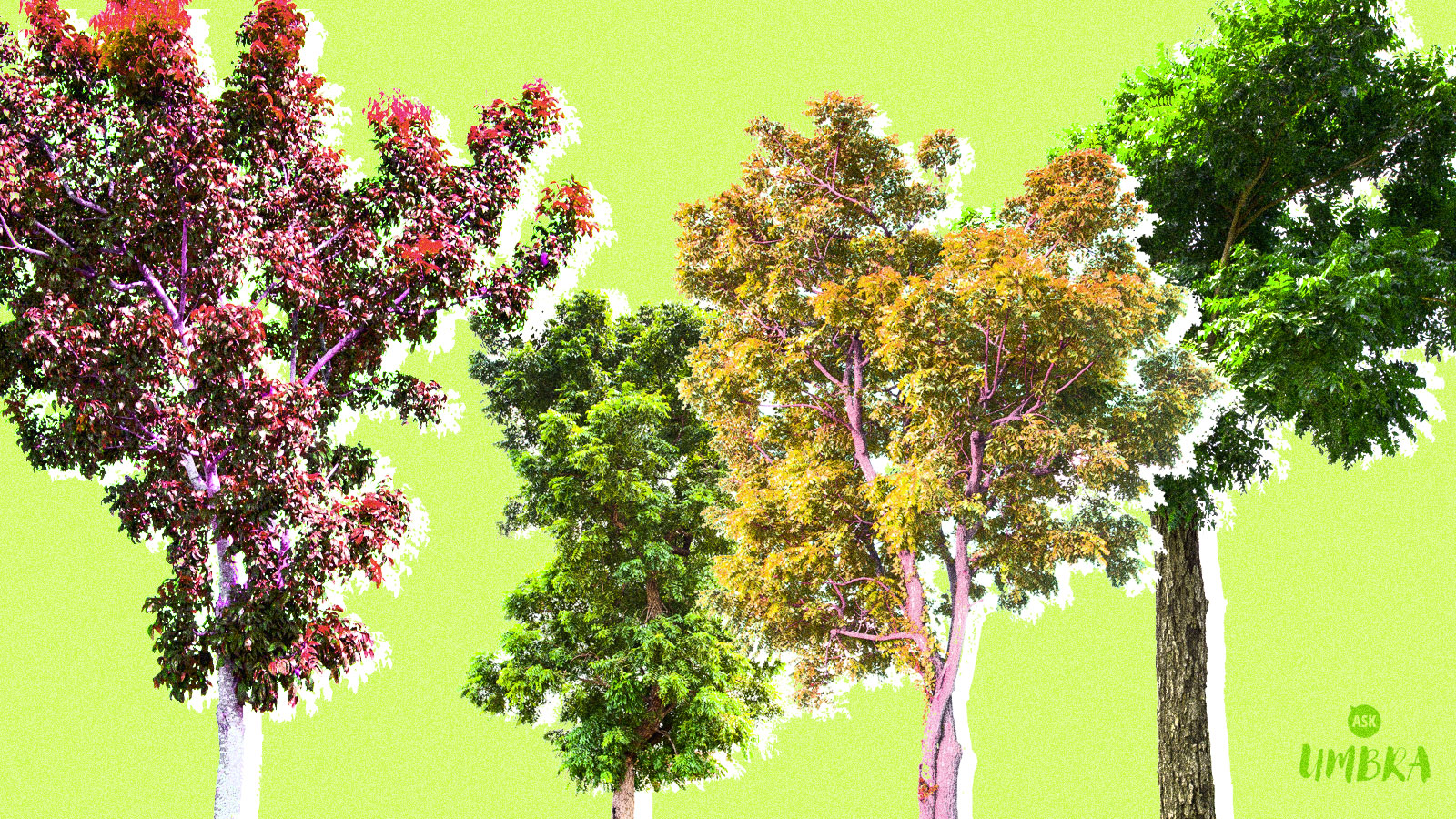 So should we just plant a bunch of trees everywhere, or what?