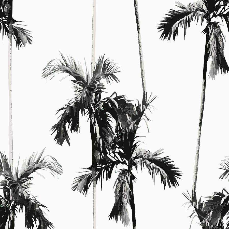 Palm Tree Wallpaper and White Peel and Stick