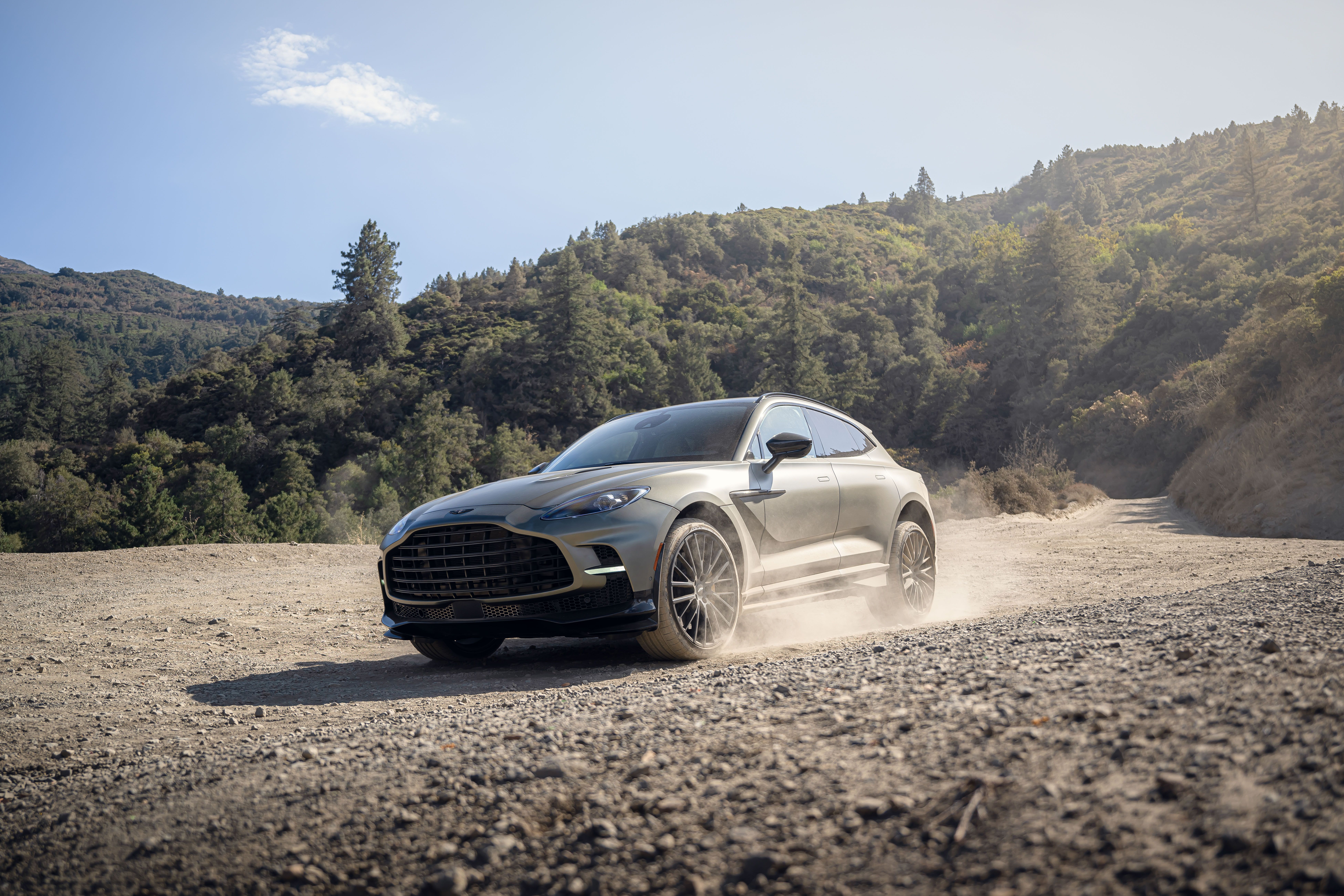 View Photo of the 2023 Aston Martin DBX 707