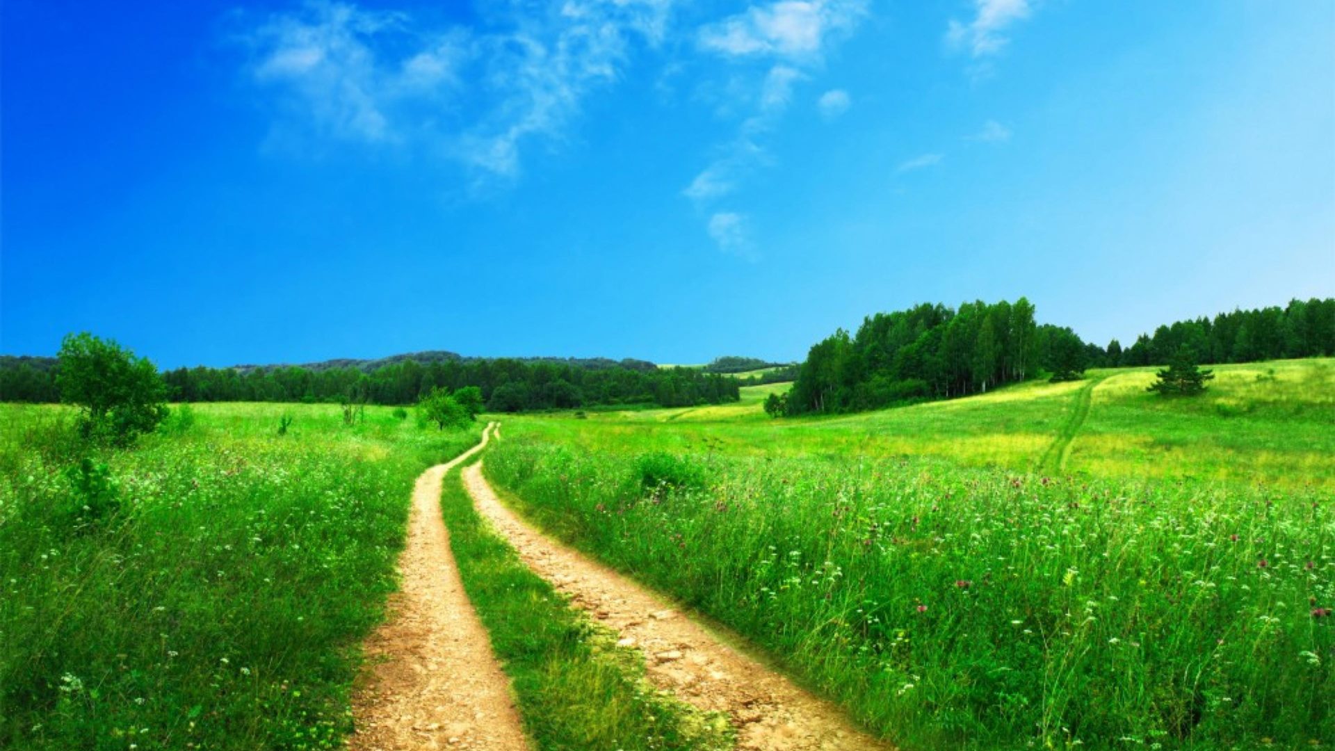 Nature Country Road Field With Green Meadow Blue Sky Summer