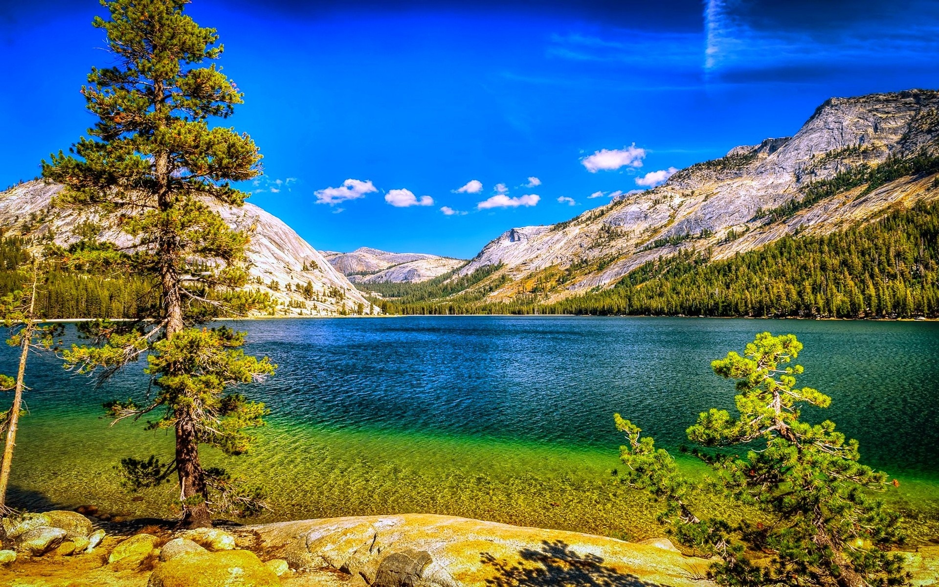 trees, landscape, forest, mountains, lake, nature, reflection, sky, blue, coast, Yosemite National Park, California, national park, summer, fjord, wilderness, crater lake, tree, autumn, mountain, meadow, reservoir, tarn, loch, computer