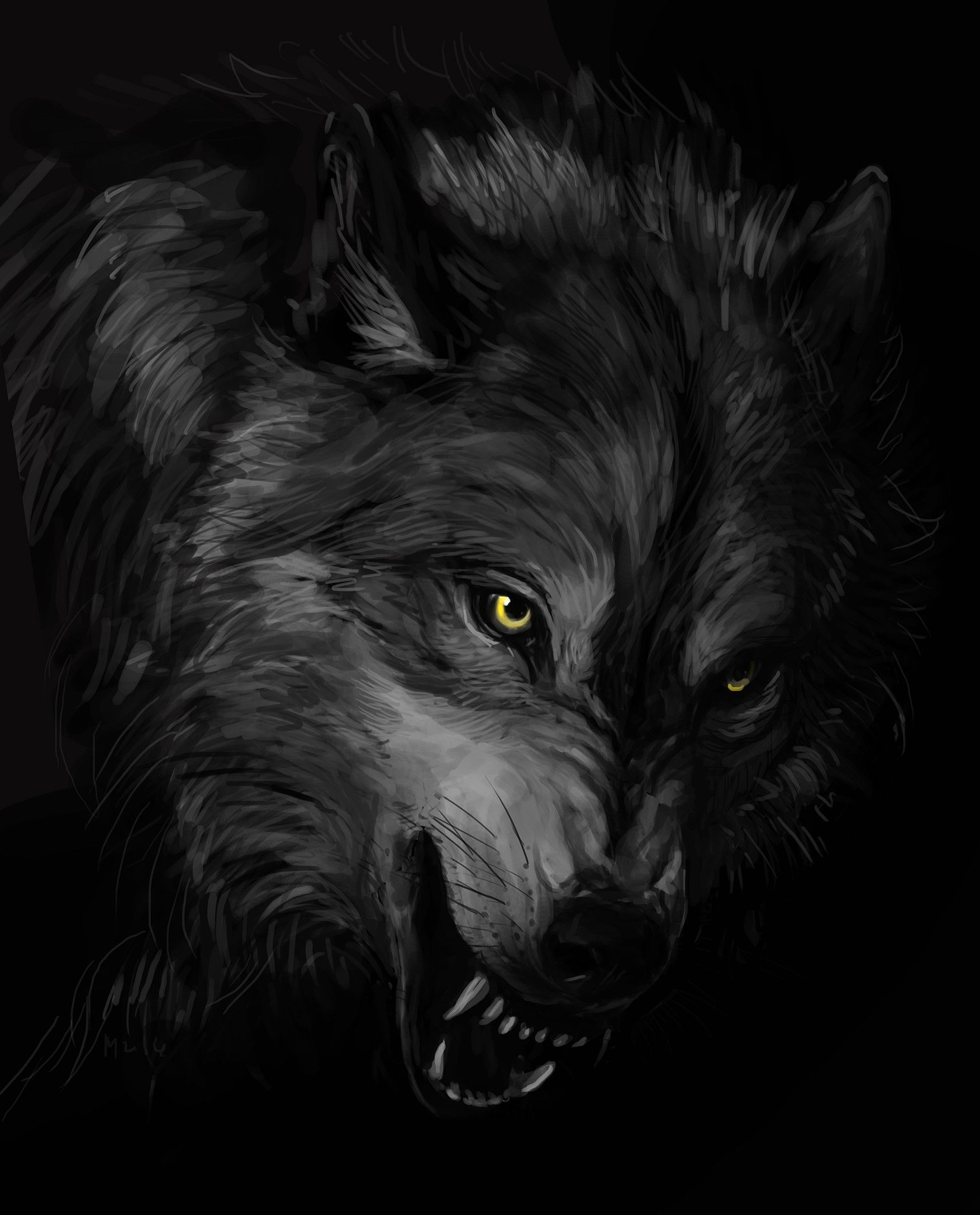 Gray wolf Drawing Demon Anime black shading transparent background PNG  clipart  HiClipart