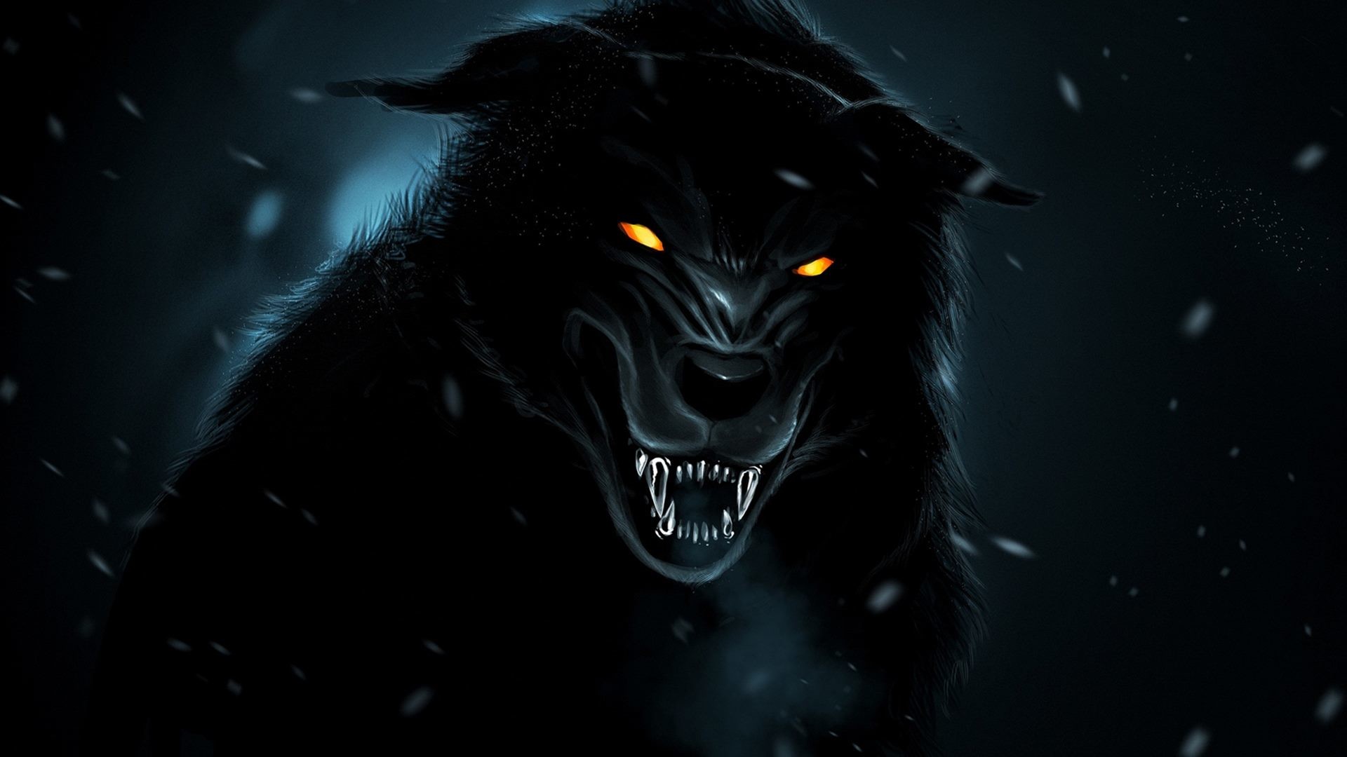 Black And White Wolf Wallpaper