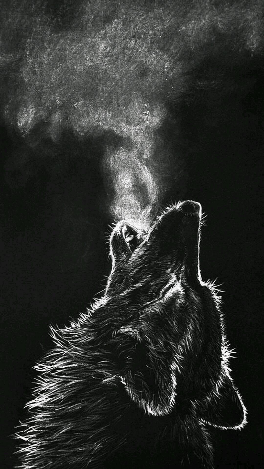Wolf howling Wallpaper Download