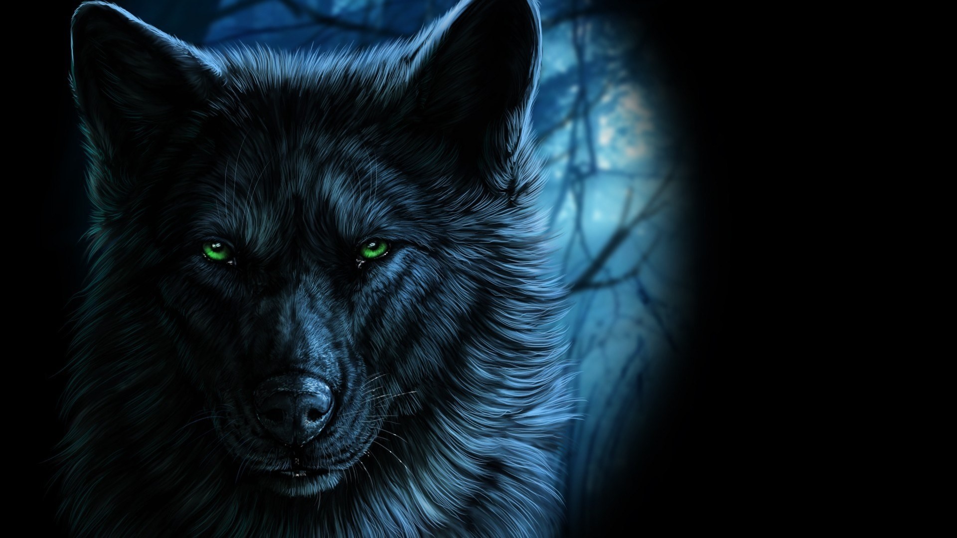Black Wolf Wallpaper