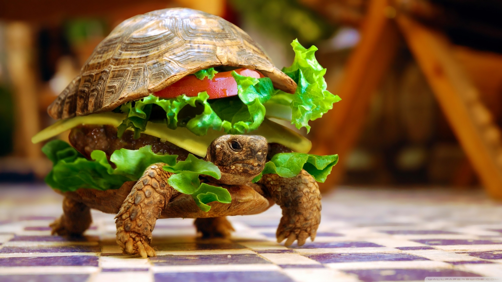 Turtle Burger Wallpaper