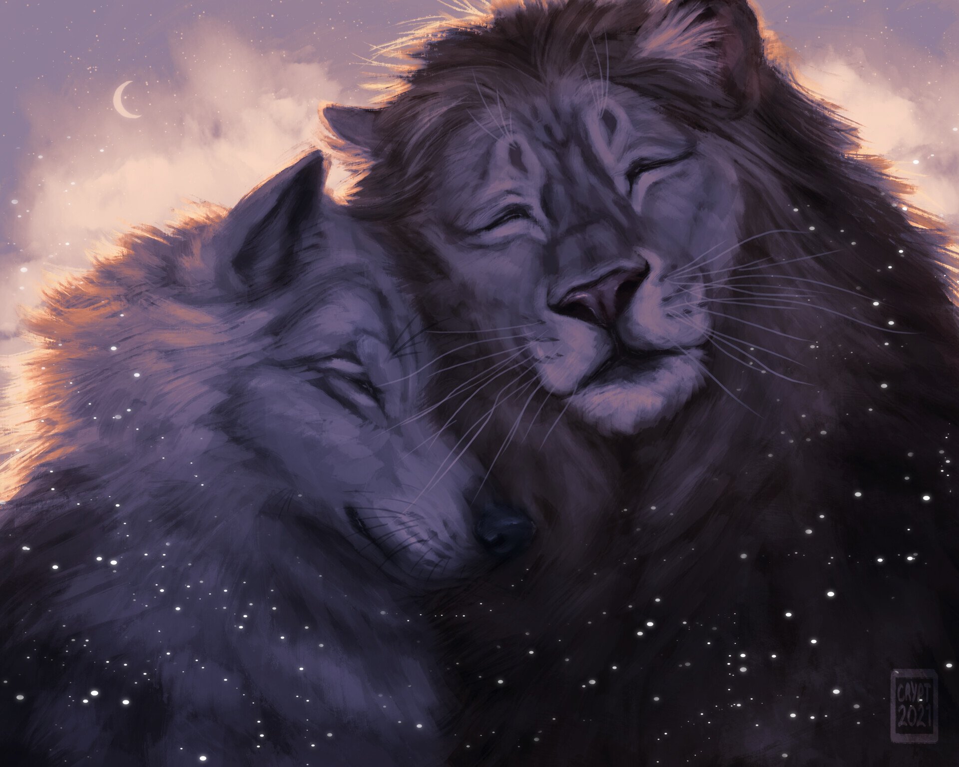 Wolf and Lion Wallpaper Free Wolf and Lion Background